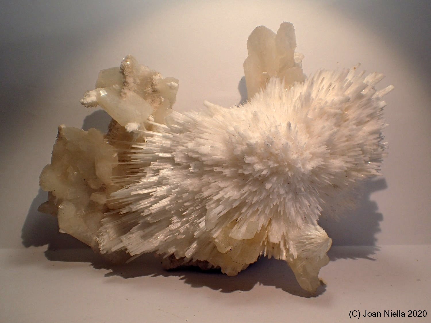 Mesolita
13 x 9 cm
(Autor: Joan Niella)