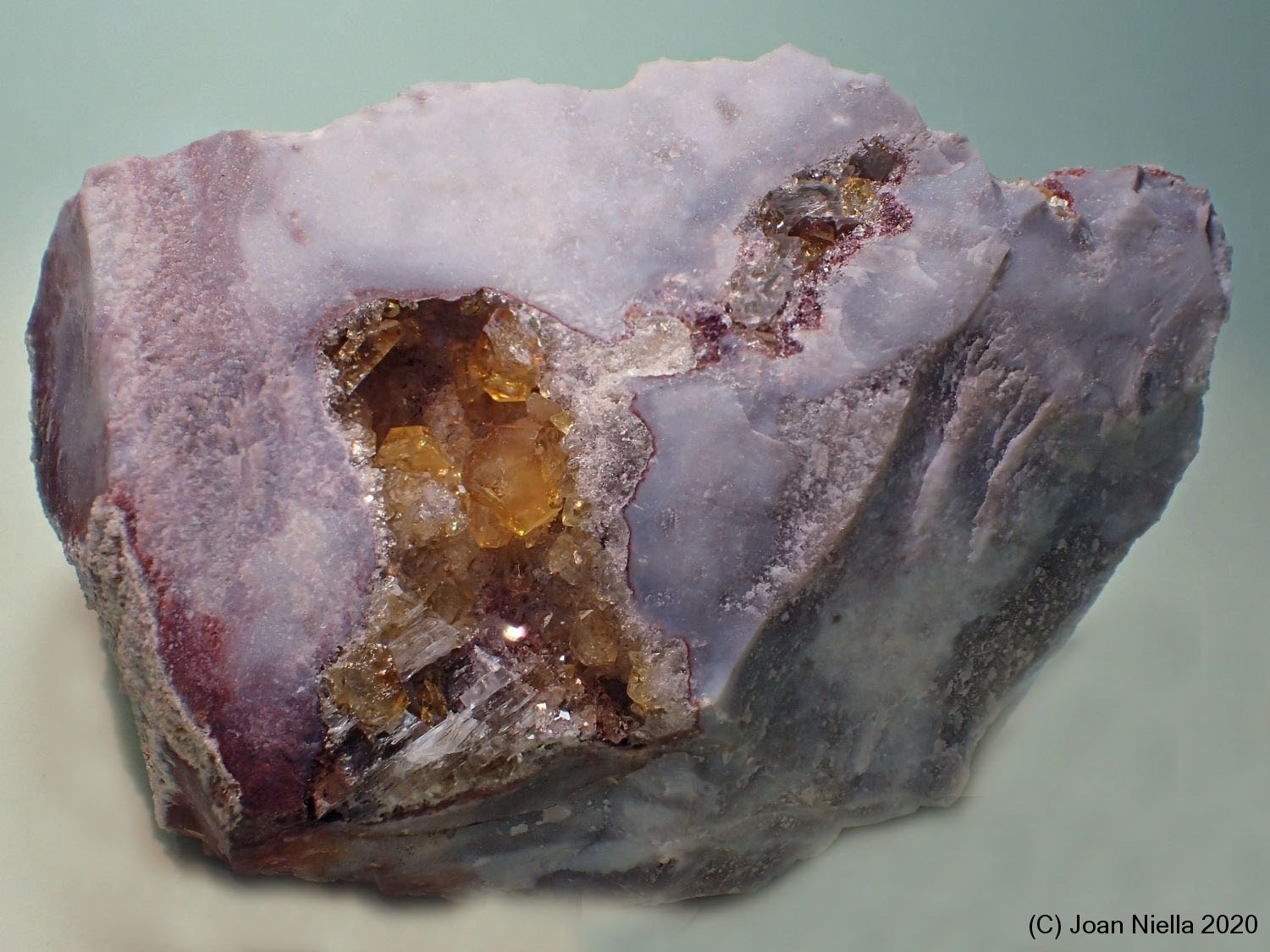 Celestina
8 x 5 cm
(Autor: Joan Niella)