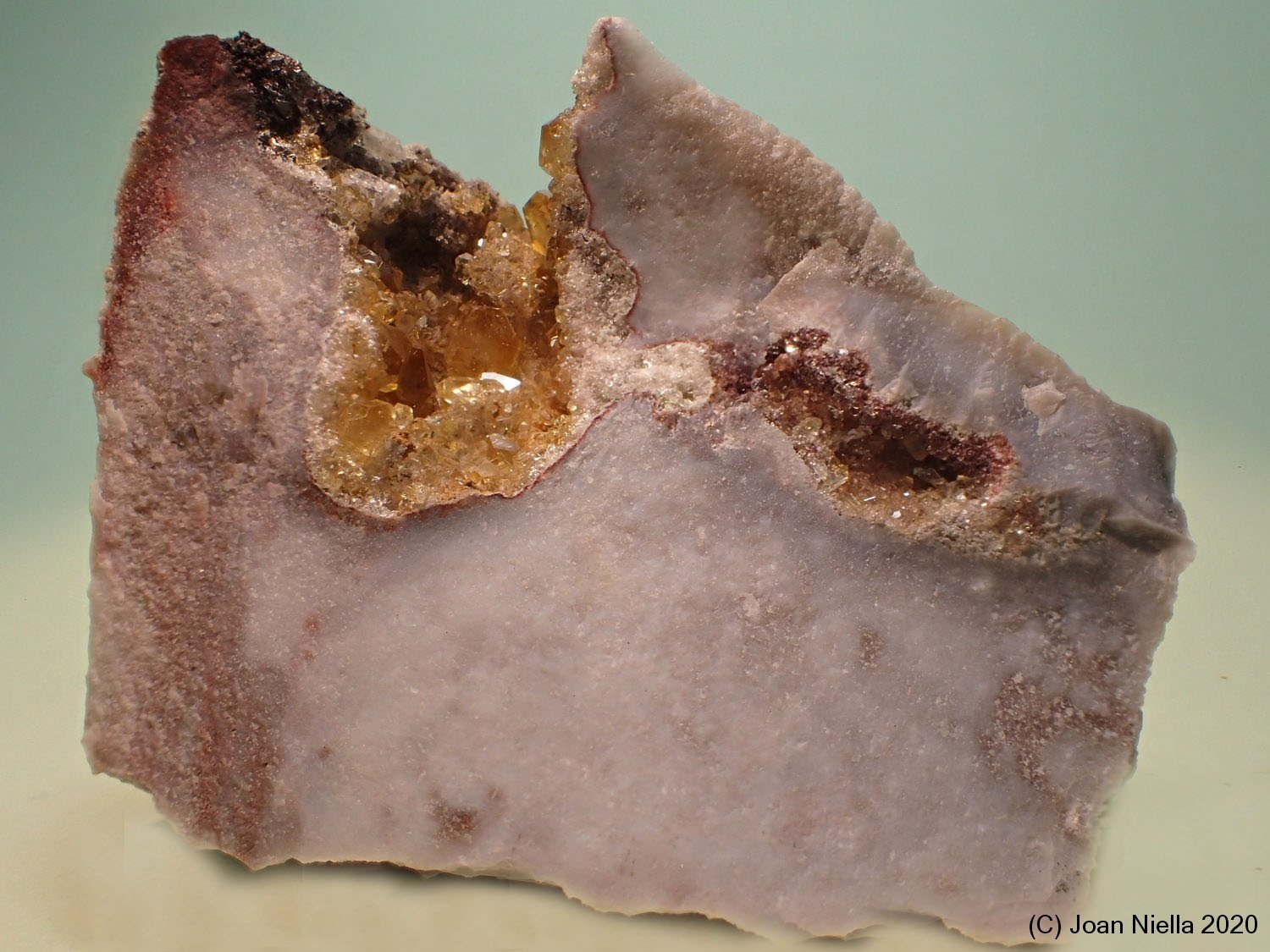 Celestina
7 x 5 cm
(Autor: Joan Niella)