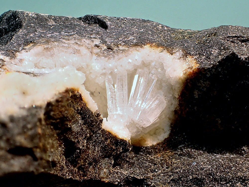 Mesolita
CV 3 x 2 cm
(Autor: Joan Niella)
