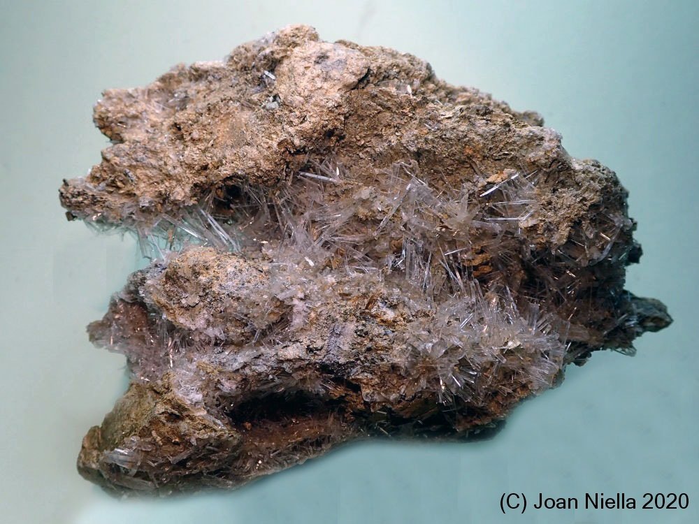 Yeso
10 x 7 cm
(Autor: Joan Niella)
