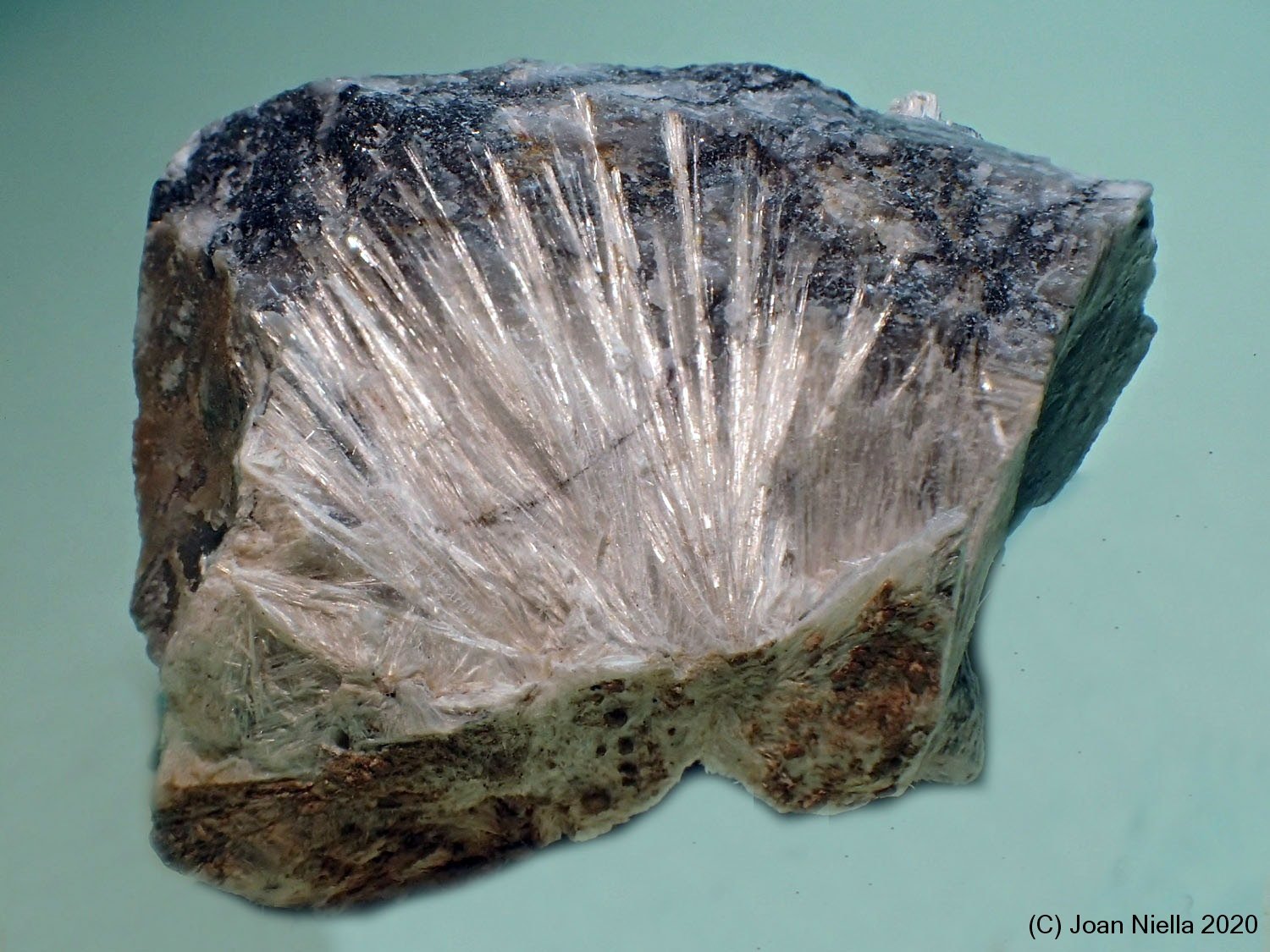 Tremolita
40 x 25 mm
(Autor: Joan Niella)