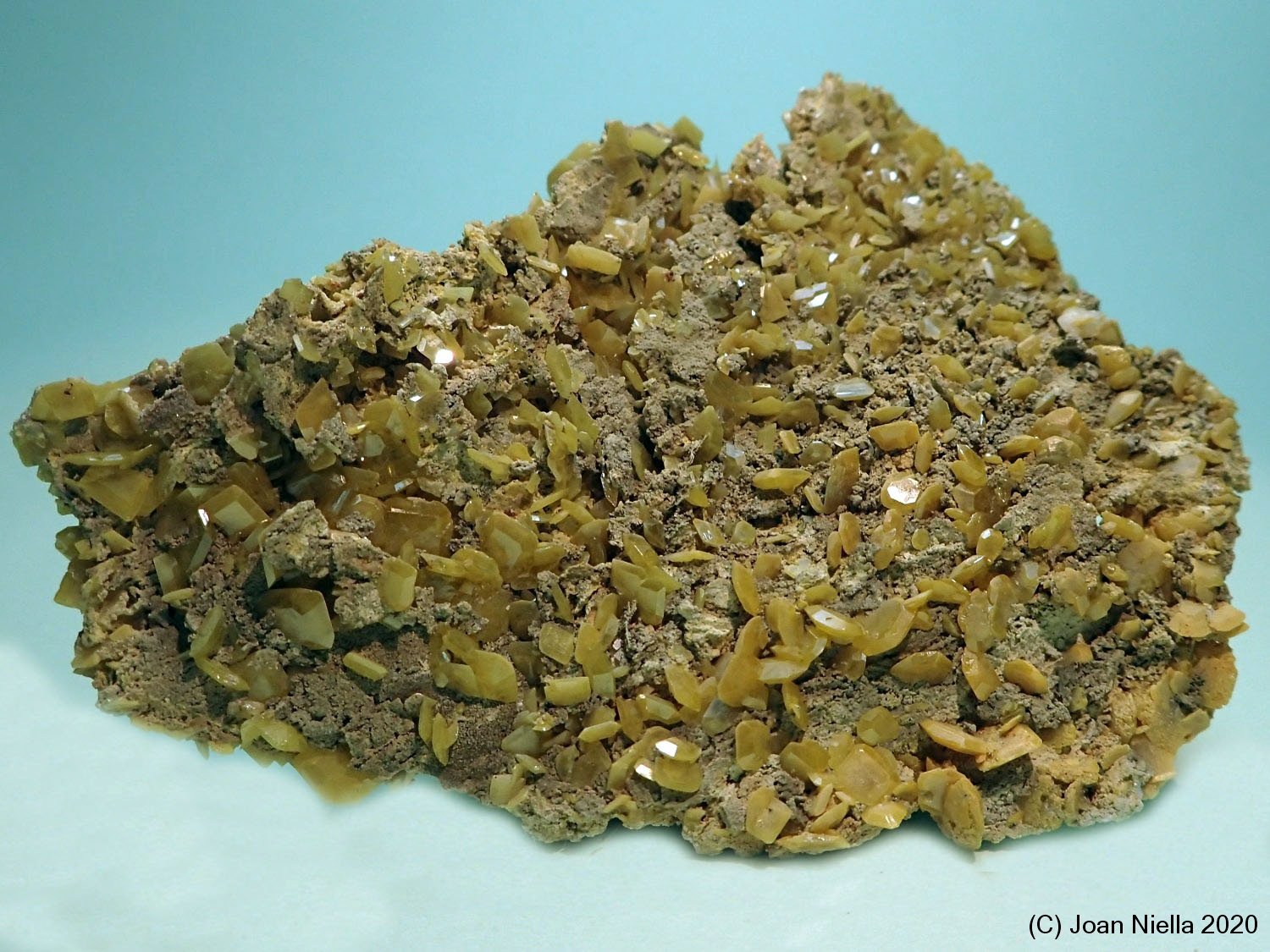 Wulfenita
70 x 55 mm
(Autor: Joan Niella)