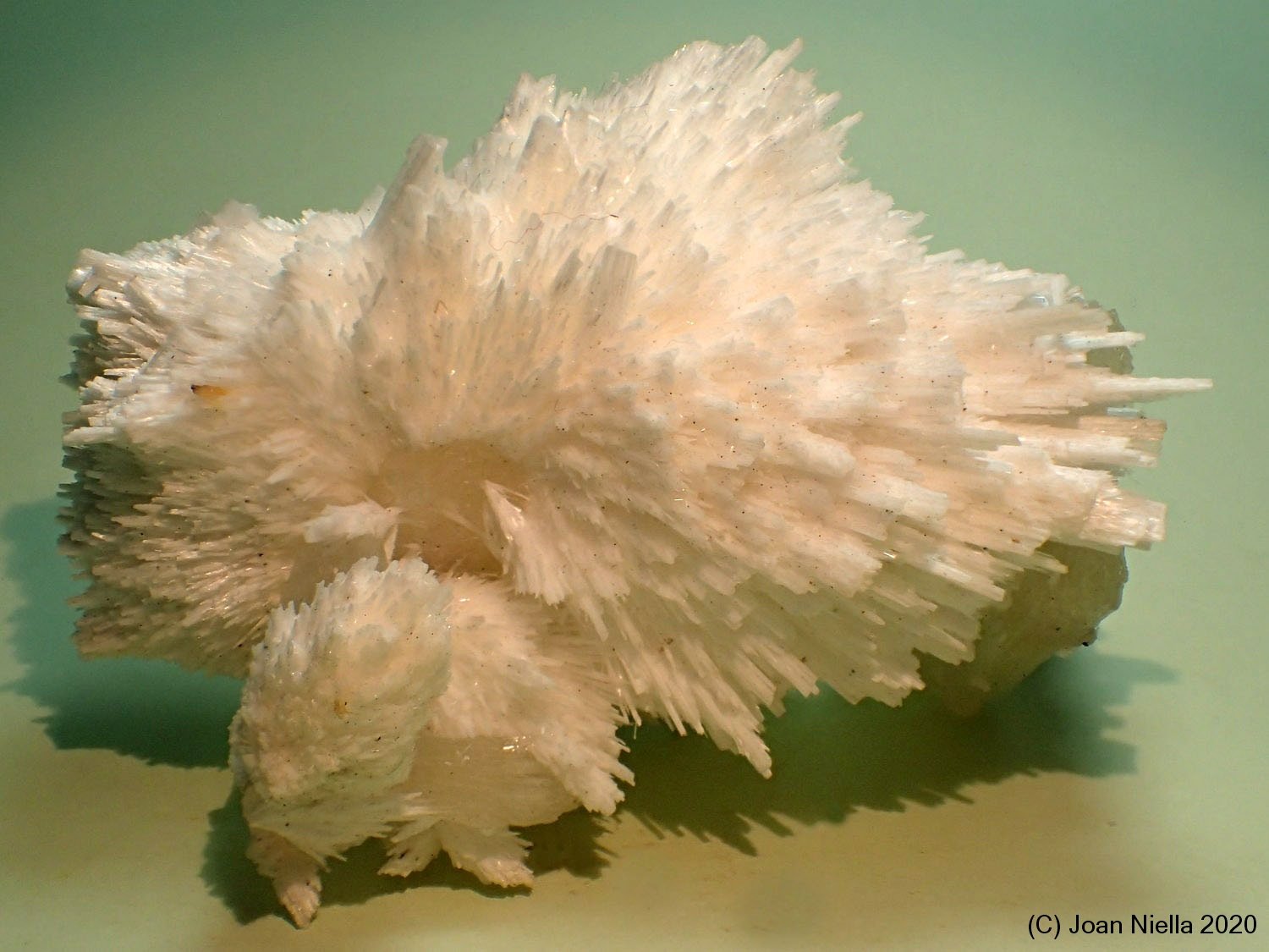 Mesolita
80x50 mm
(Autor: Joan Niella)