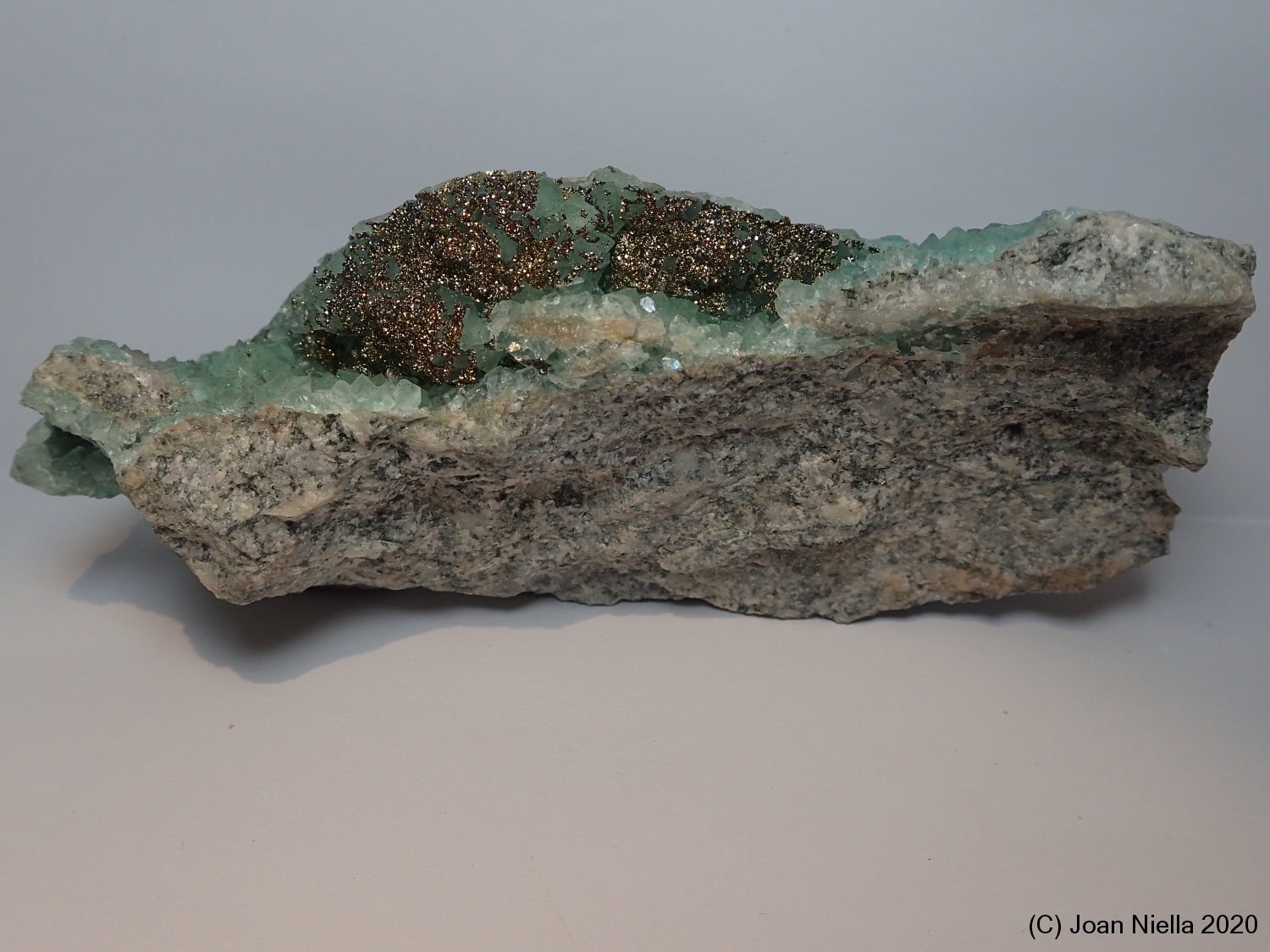 Pirita
13 x 4 cm
(Autor: Joan Niella)