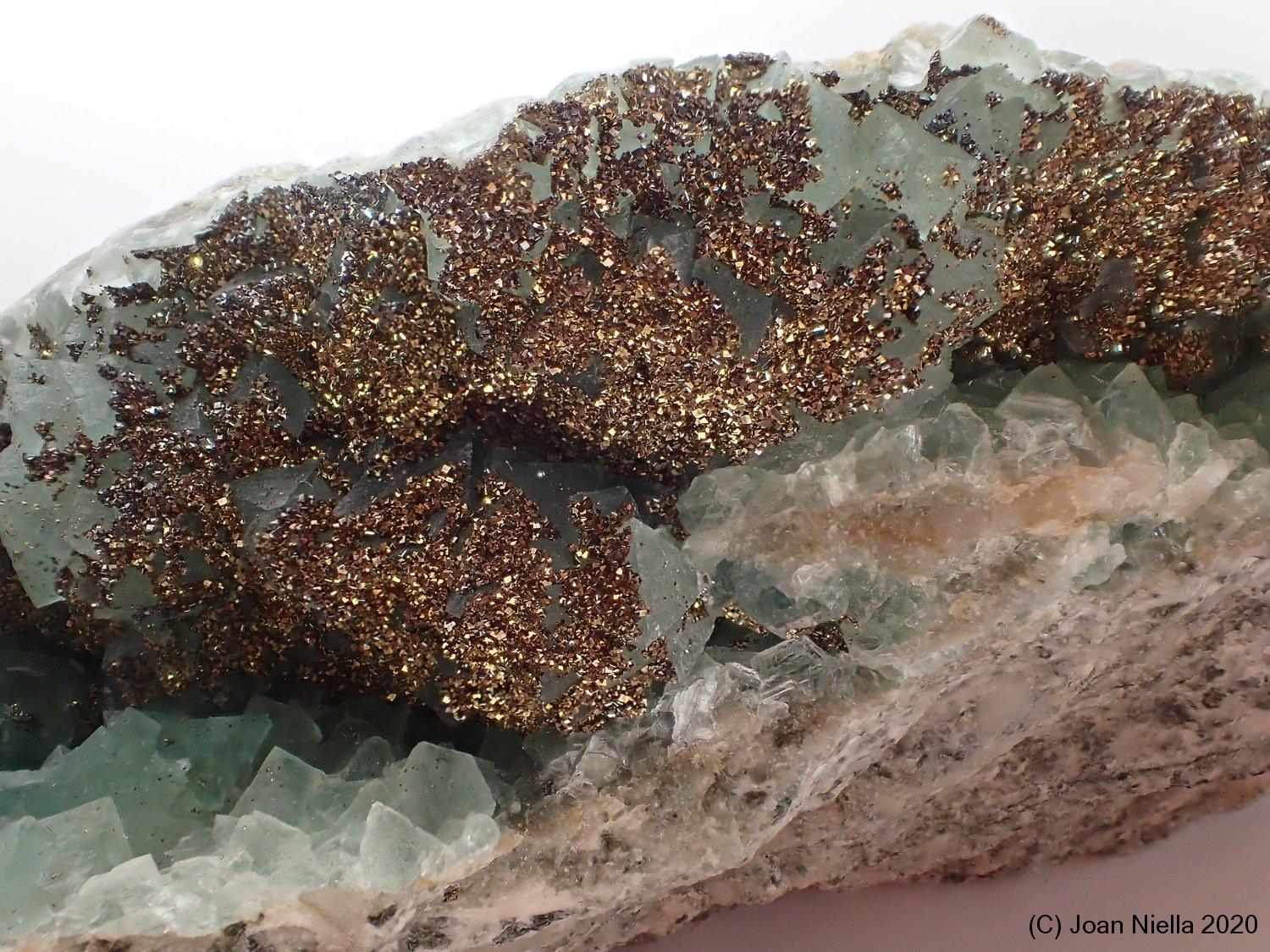 Pirita
3 x 4 cm
(Autor: Joan Niella)