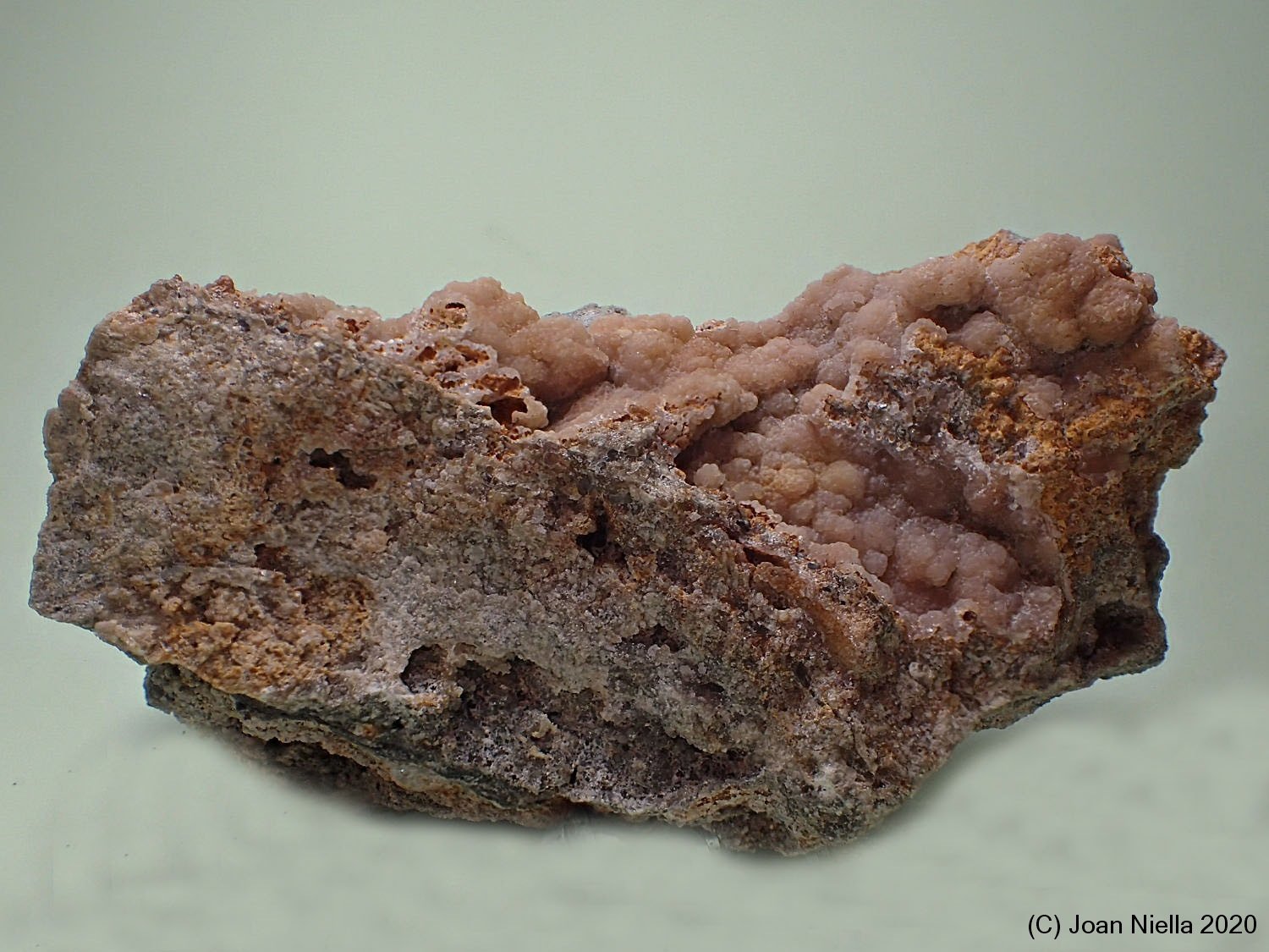 Smithsonita
6 x 3 cm
(Autor: Joan Niella)