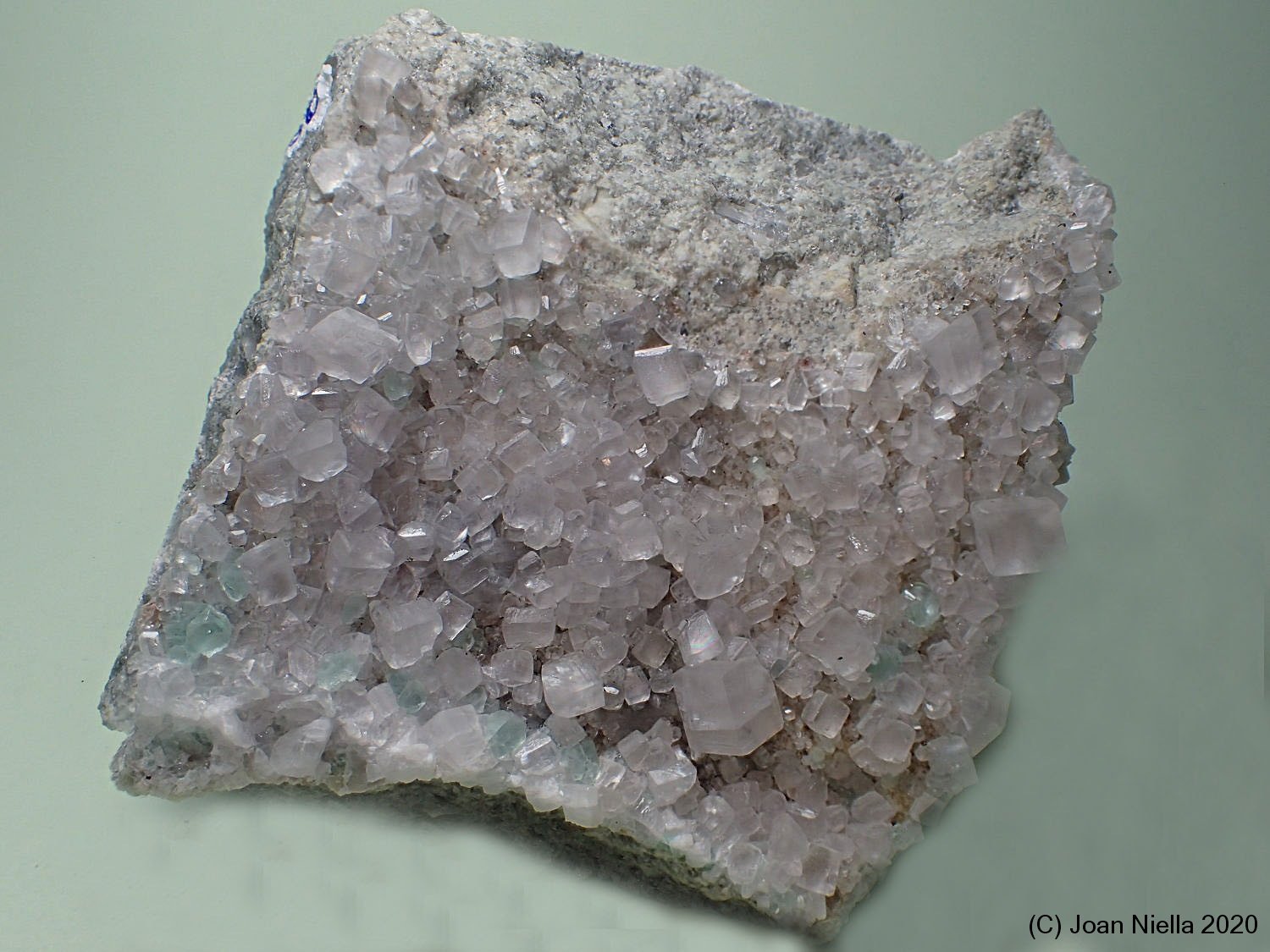 Calcita
55 x 60 mm
(Autor: Joan Niella)