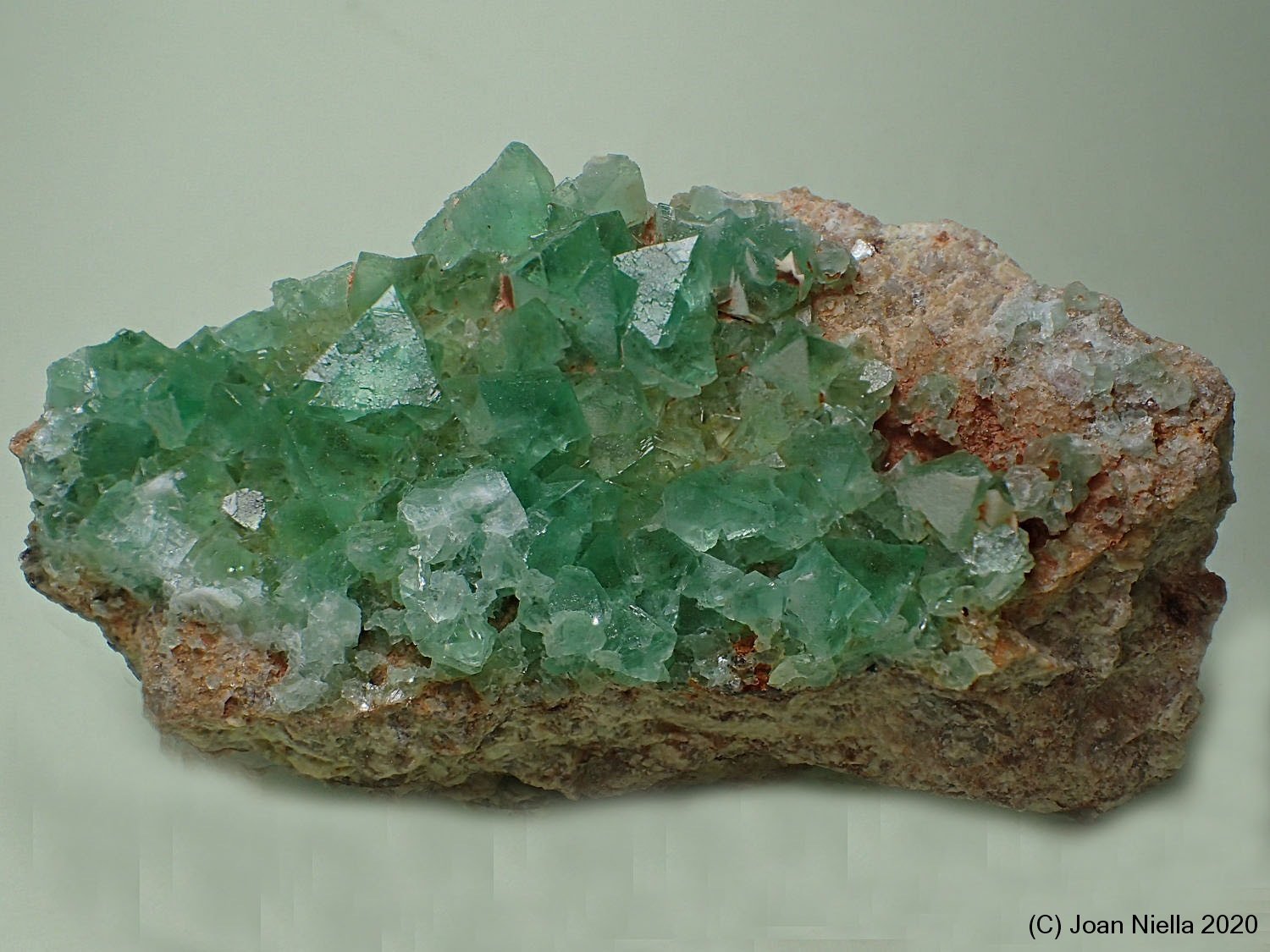 Fluorita
80 x 35 mm
(Autor: Joan Niella)