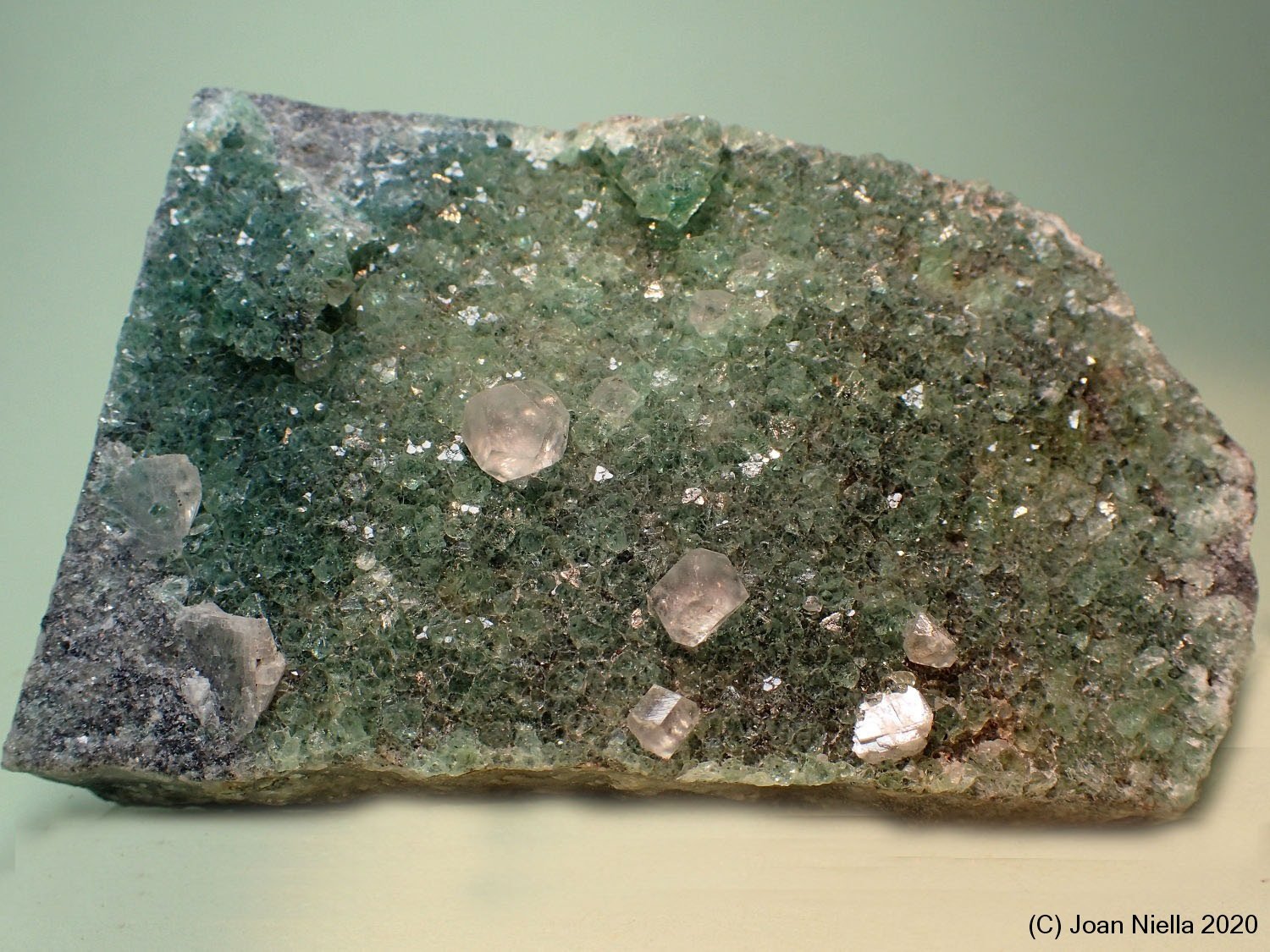 Calcita
110 x 65 mm
(Autor: Joan Niella)
