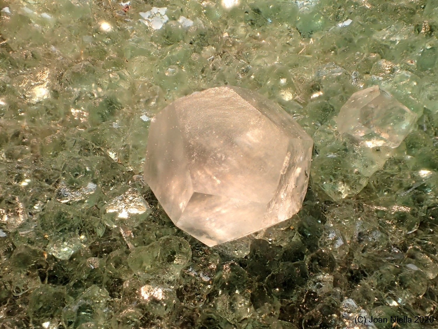 Calcita
3 x 2 cm
(Autor: Joan Niella)