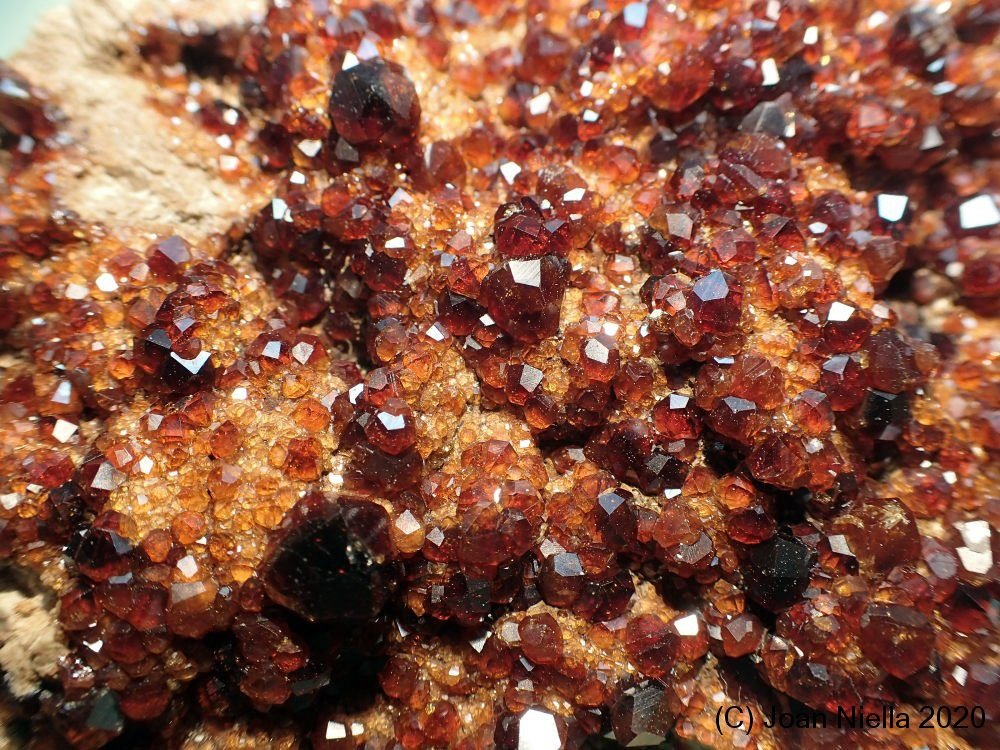 Spessartina (Espesartina) (Grupo Granate)
CV 3 x 2 cm
(Autor: Joan Niella)