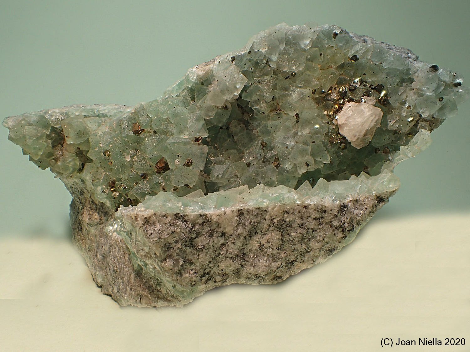 Pirita
95 x 45 mm
(Autor: Joan Niella)