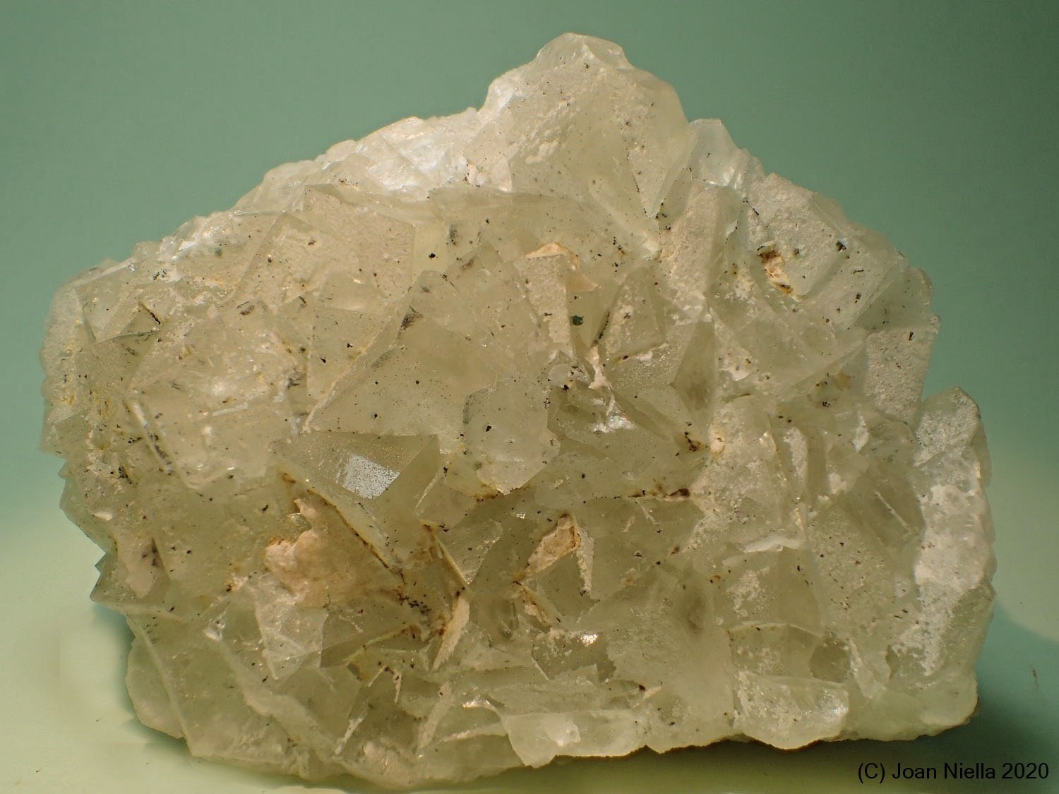 Fluorita
85 x 65 mm
(Autor: Joan Niella)