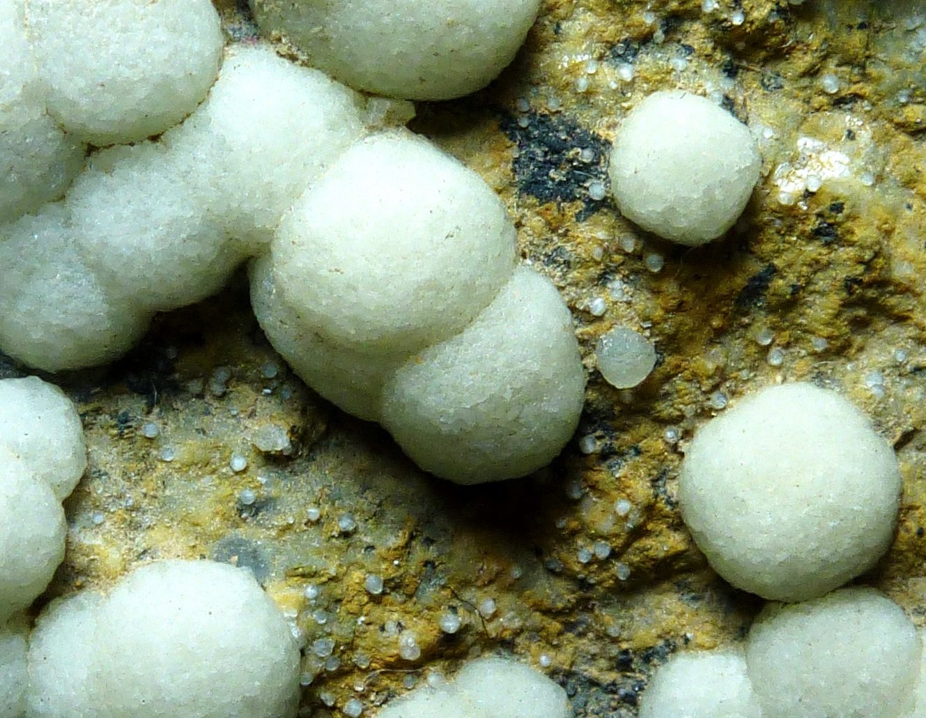 Fluorita
6 x 5 cm.
(Autor: javier ruiz martin)