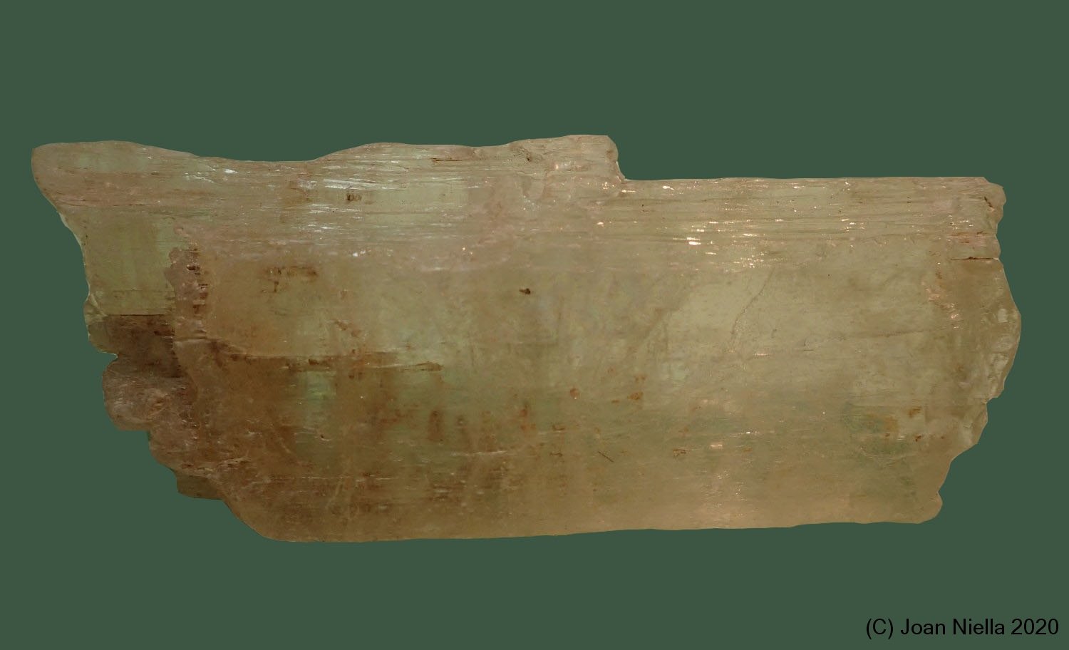 Espodumena
85 x 35 mm
(Autor: Joan Niella)