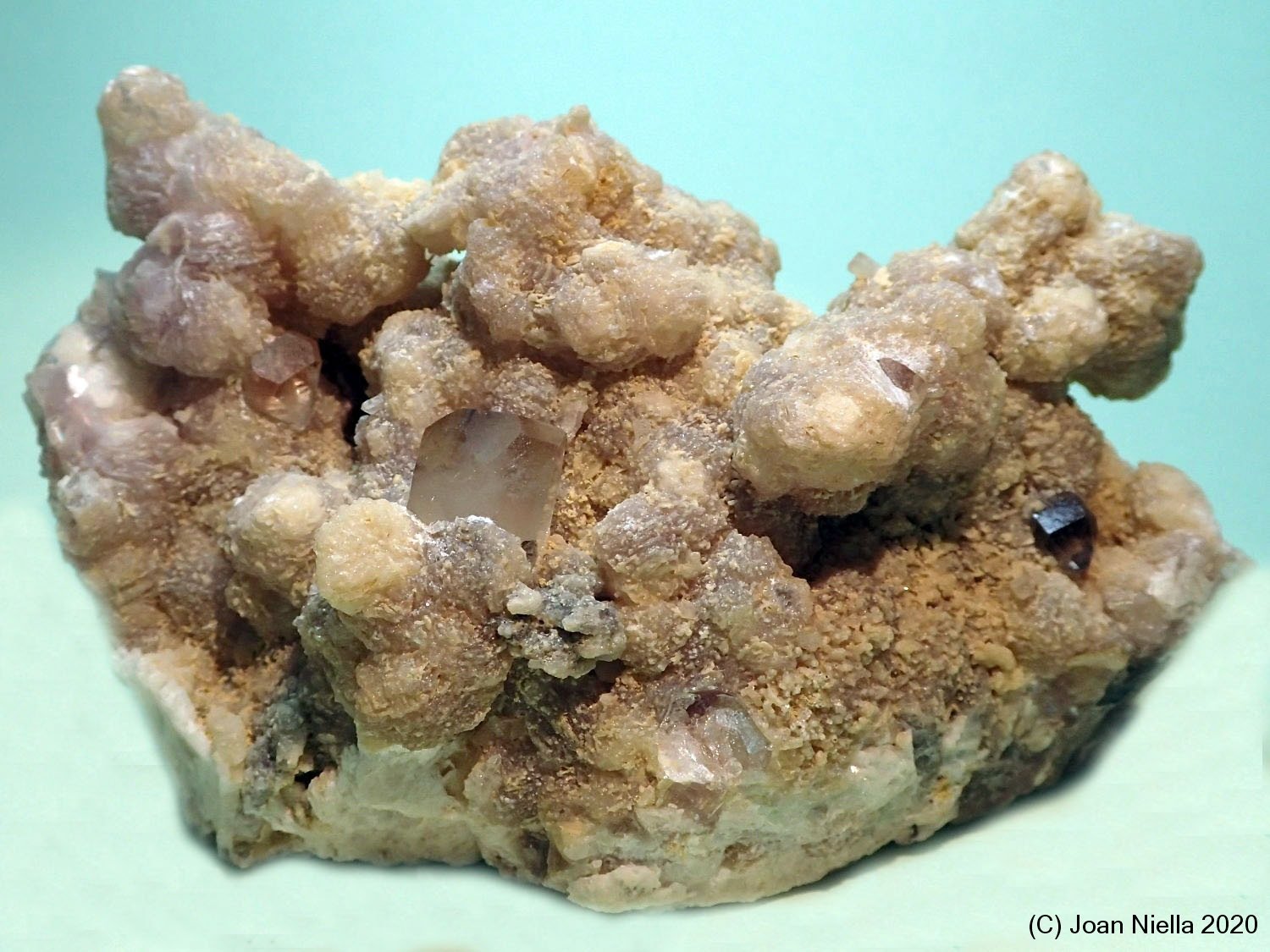 Topacio
105x60 mm
(Autor: Joan Niella)