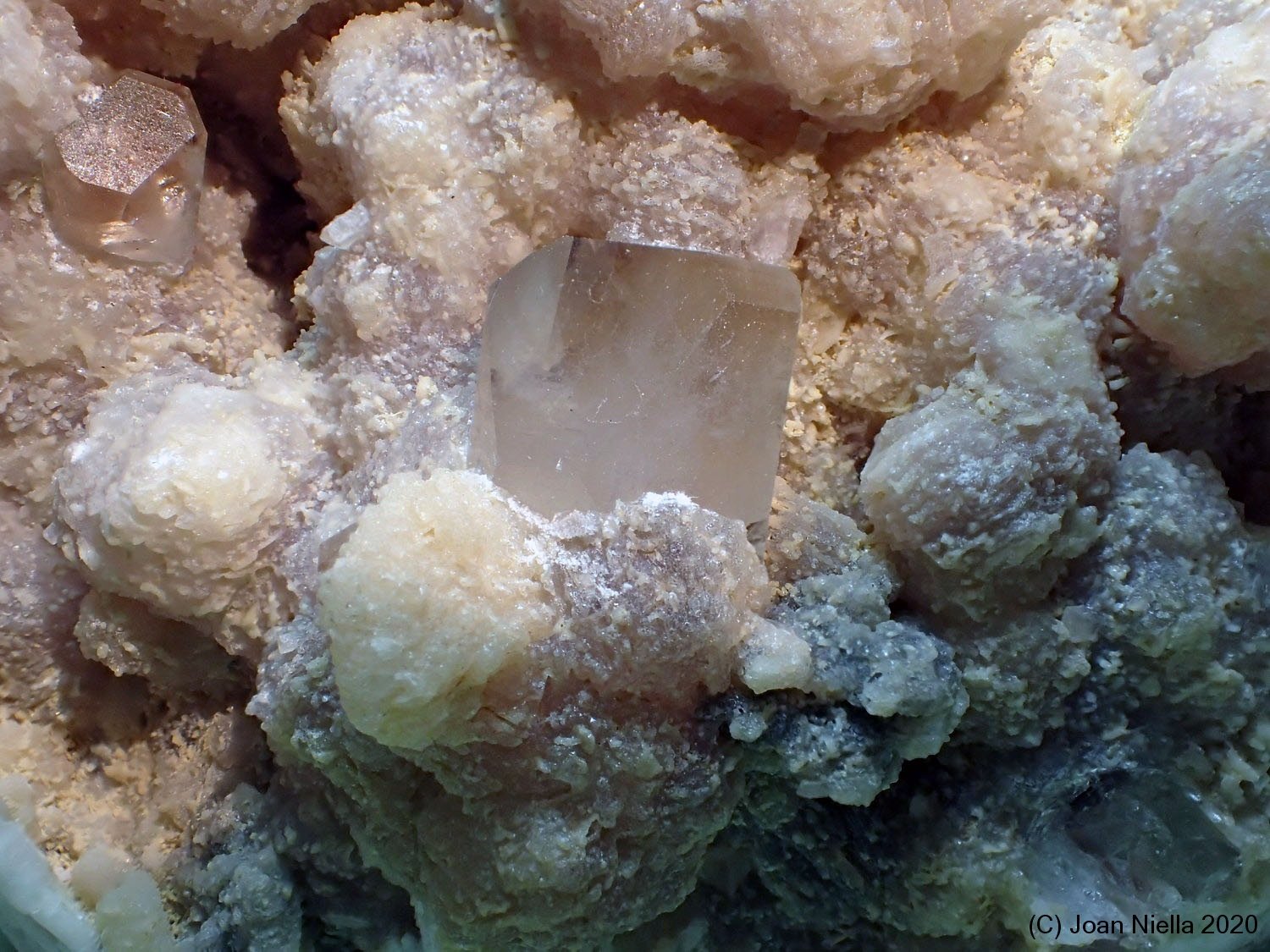 Topacio
3 x 2 cm
(Autor: Joan Niella)