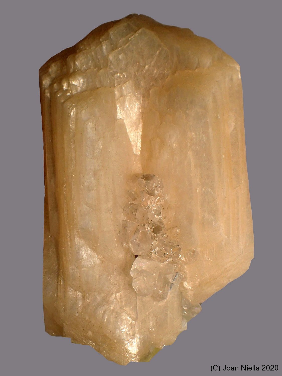 Stilbita-Ca (Estilbita-Ca)
9 x 5 cm
(Autor: Joan Niella)