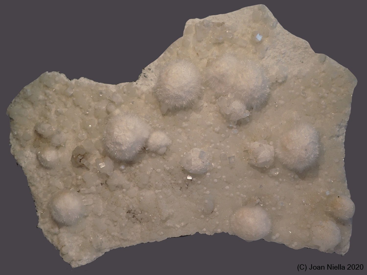 Okenita
17 x 12 cm
(Autor: Joan Niella)