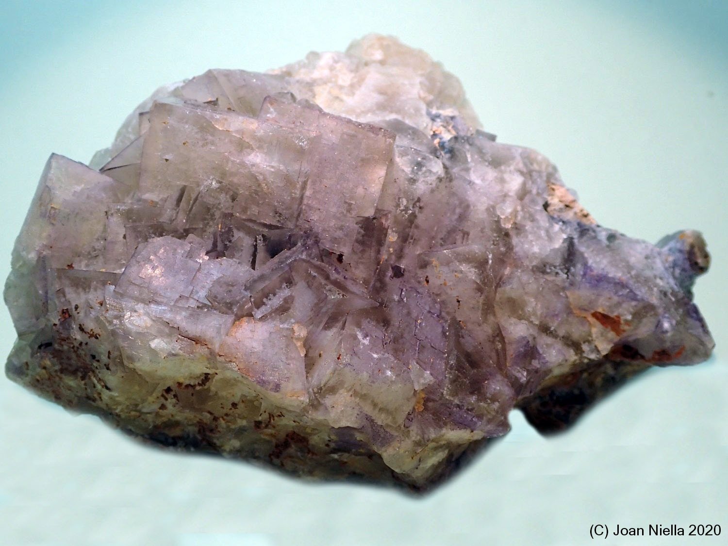 Fluorita
90x65 mm
(Autor: Joan Niella)