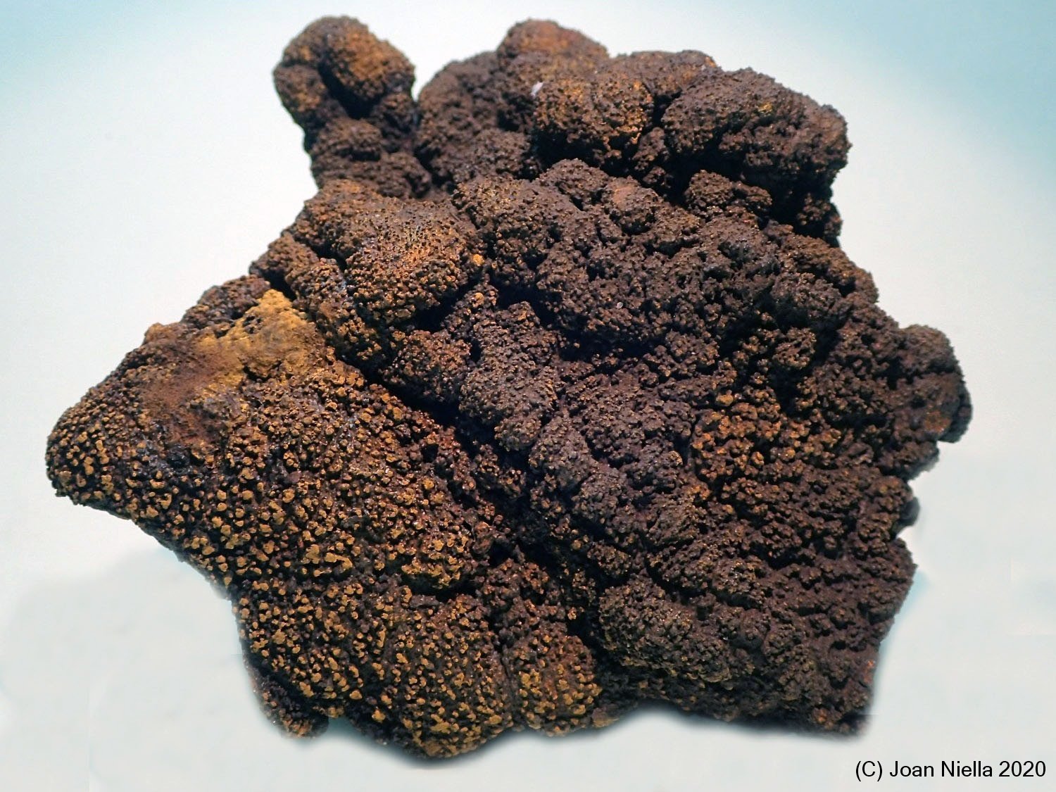 Goethita
80 x 75 mm
(Autor: Joan Niella)