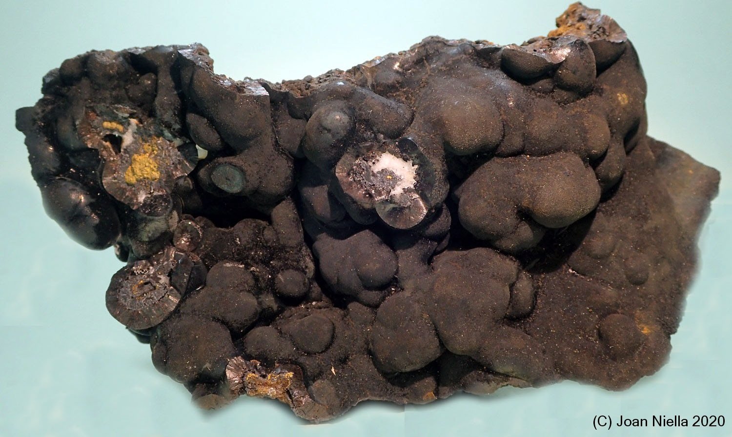 Goethita
110 x 60 mm
(Autor: Joan Niella)