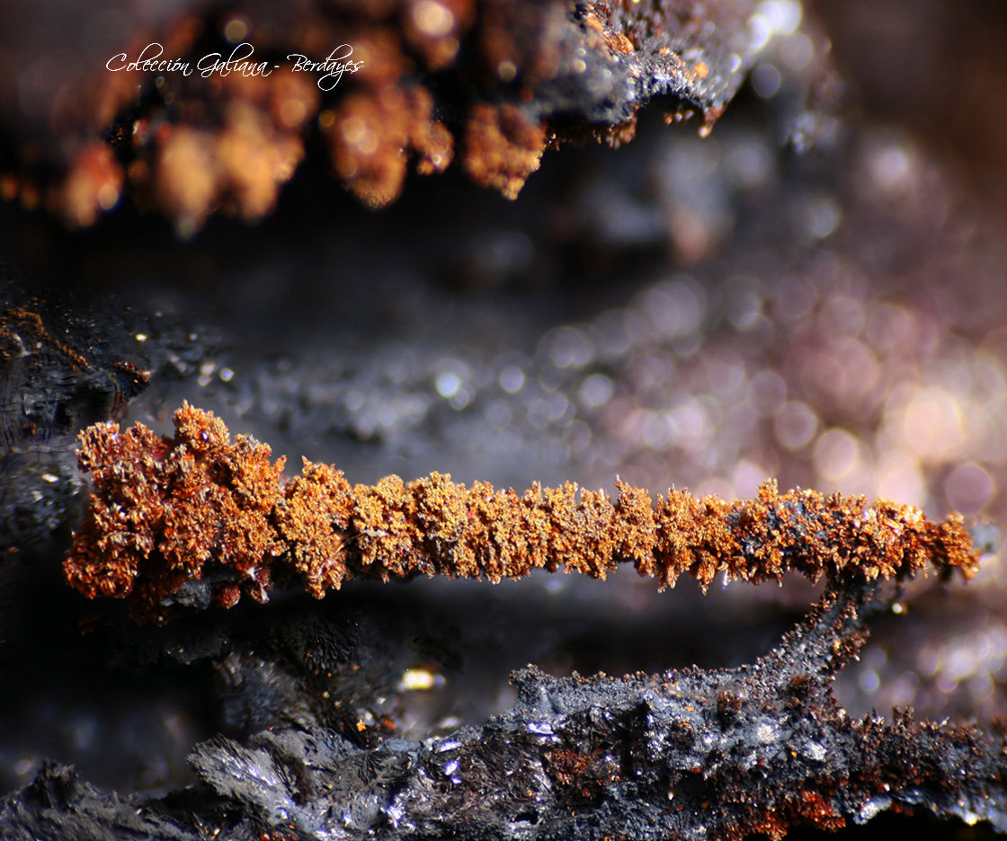 Lepidocrocita
Encuadre 8 x 6 mm
(Autor: Rafael Galiana)