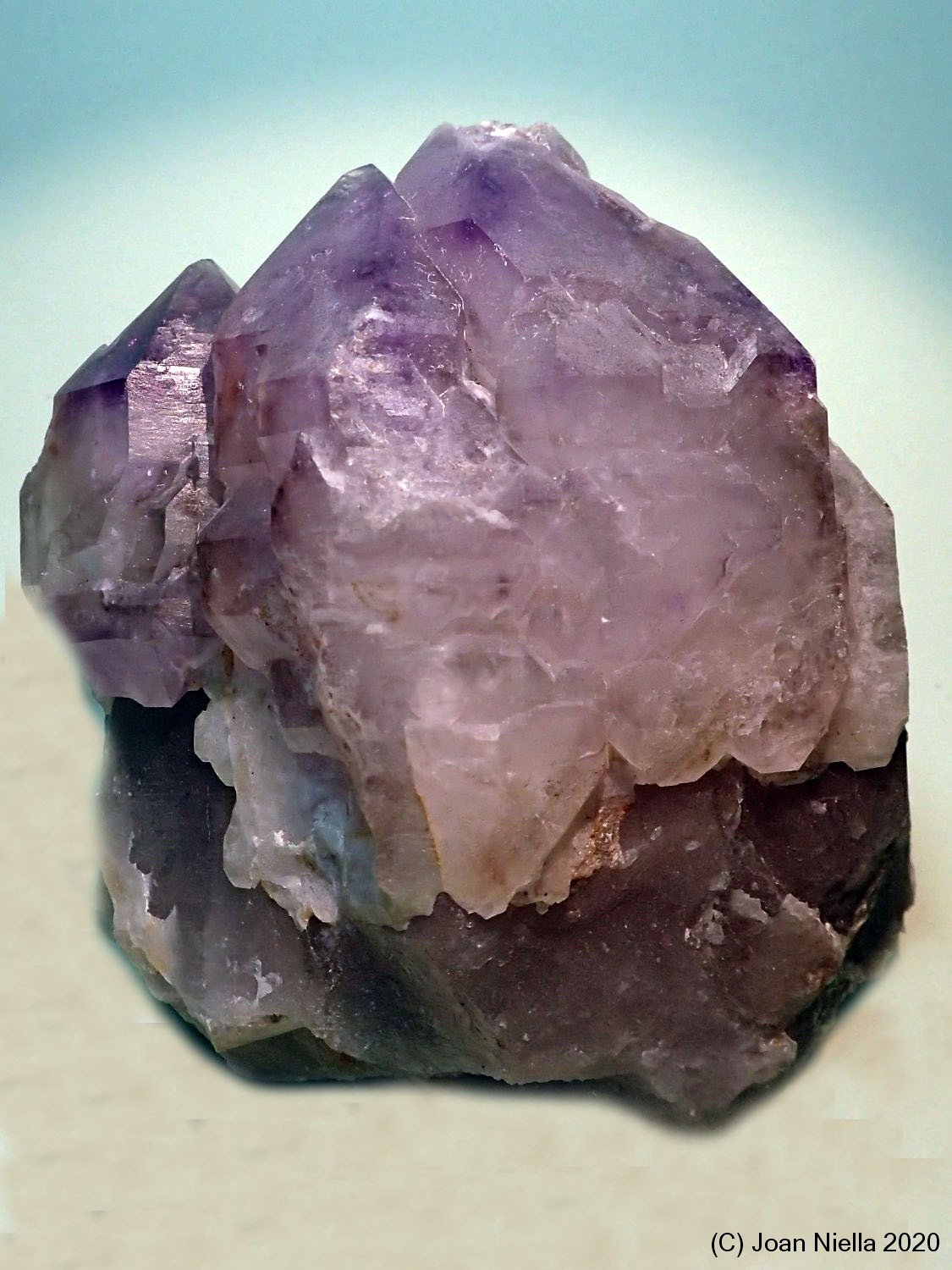 Cuarzo (variedad amatista)
70x95 mm
(Autor: Joan Niella)