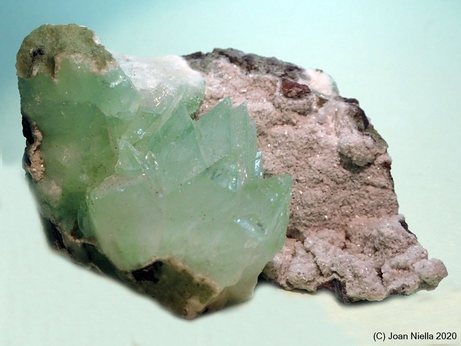 Fluorapophyllita-(K) (Apofilita)
65x45 mm
(Autor: Joan Niella)
