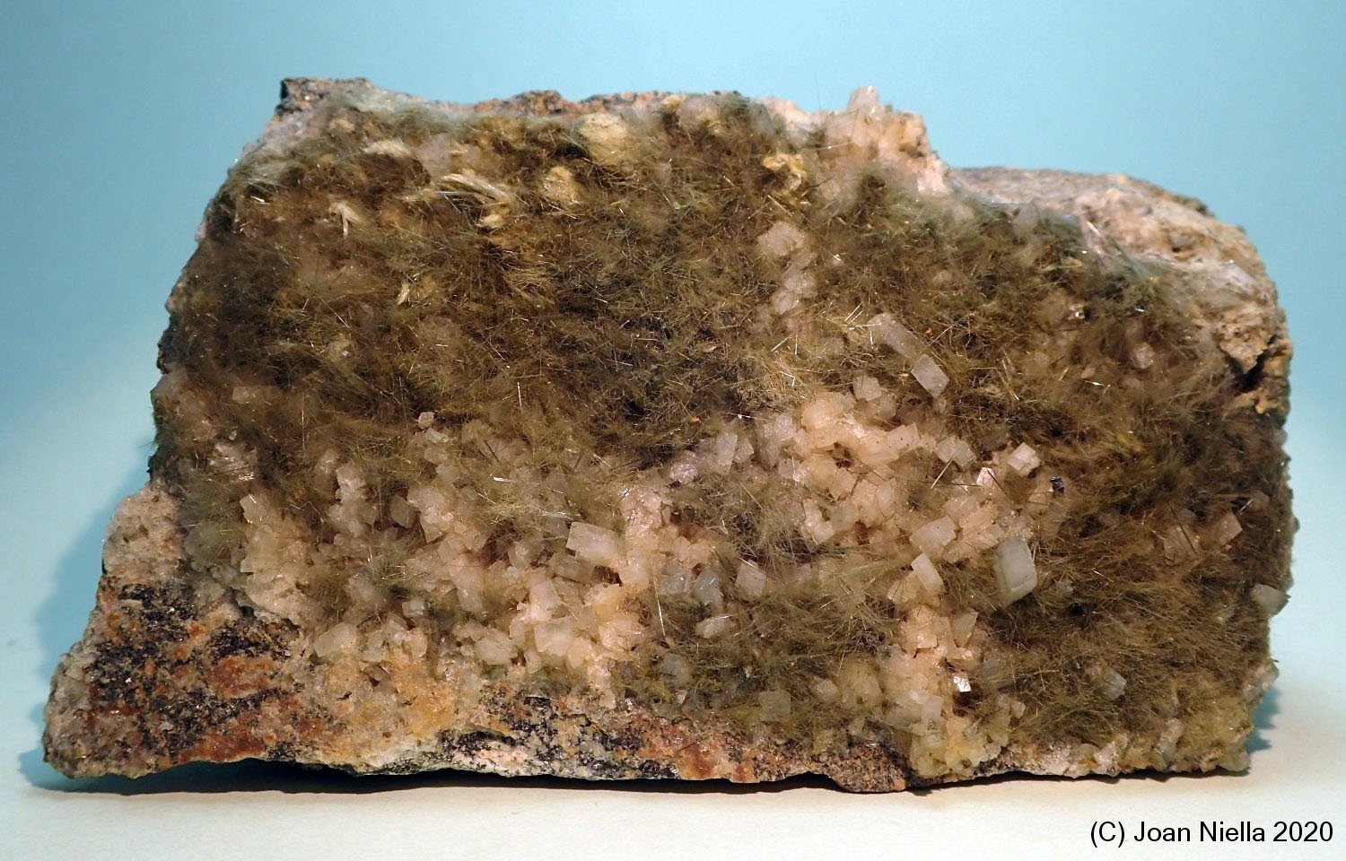 Actinolita (variedad byssolita)
85x55 mm
(Autor: Joan Niella)