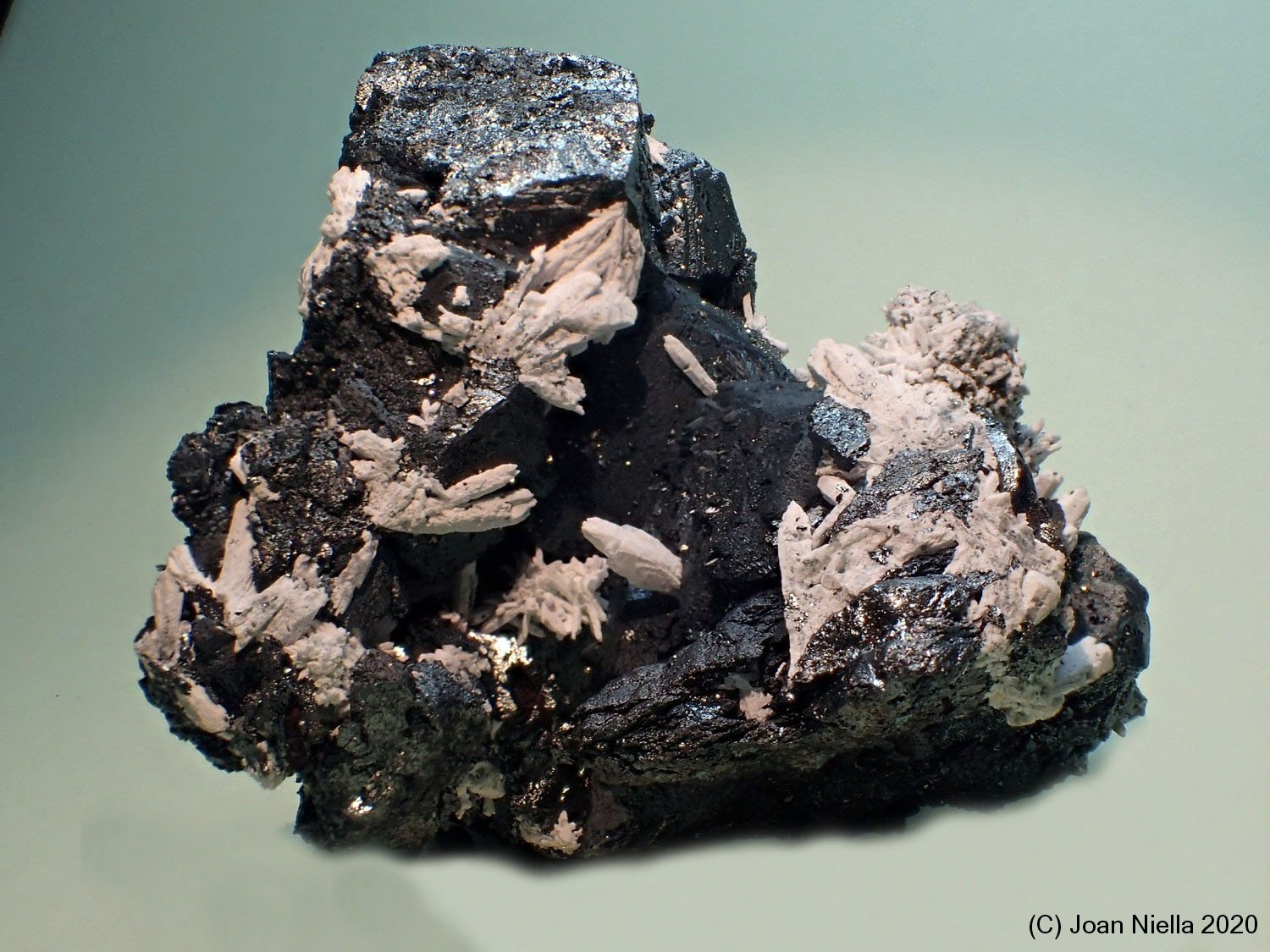 Hematites
60x50 mm
(Autor: Joan Niella)
