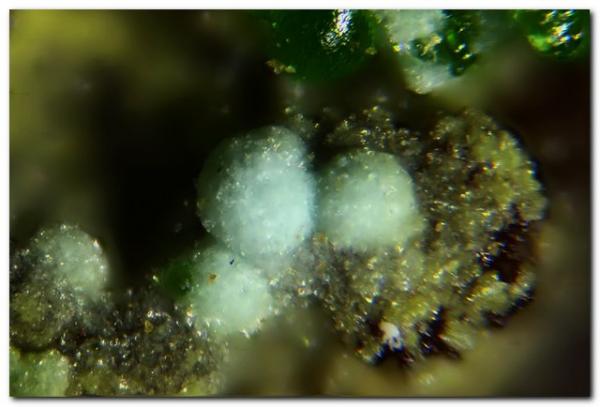 Barahonaíta-(Al)
Esfera mayor 0.15 mm.
(Autor: Rafa Muñoz(mineralvarado))