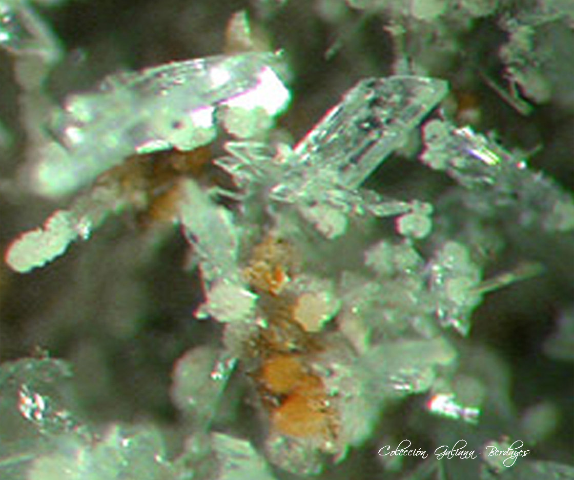 Paravauxita
Encuadre de la fotografía 6 mm.
(Autor: Rafael Galiana)
