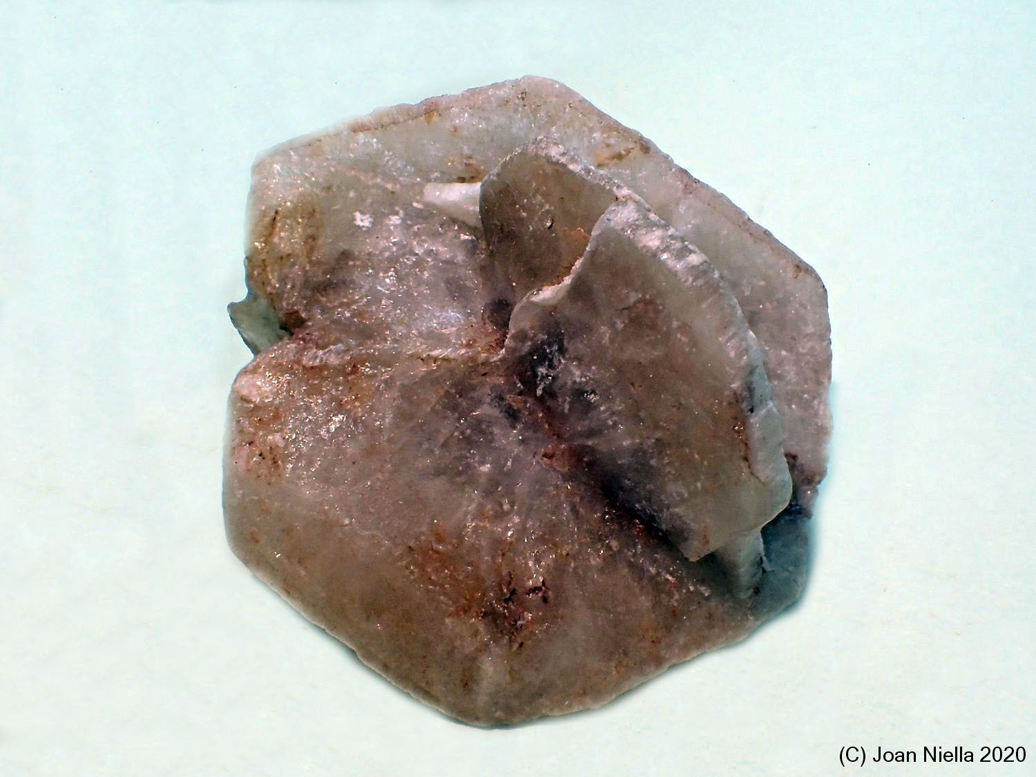 Yeso
40x35 mm
(Autor: Joan Niella)