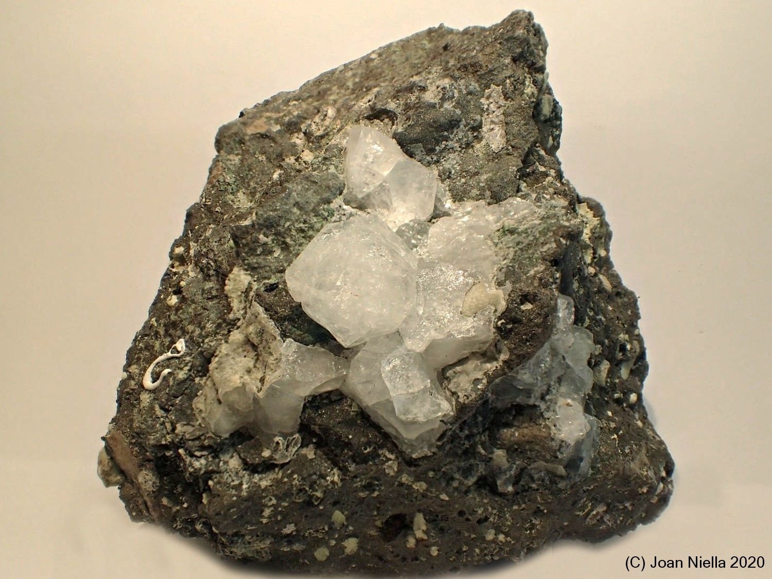Analcima
7 x 9 cm
(Autor: Joan Niella)