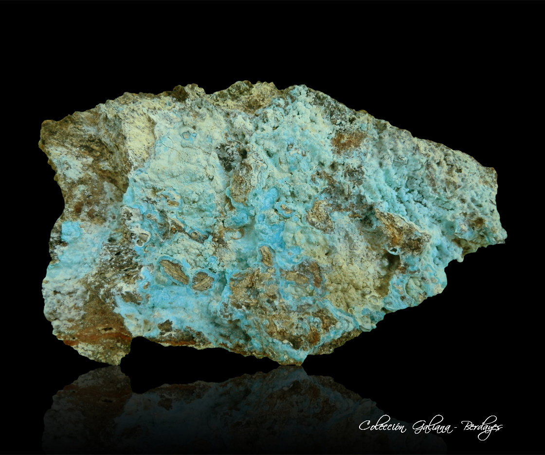 Alofana
85 x 55 x 55 mm.
(Autor: Rafael Galiana)