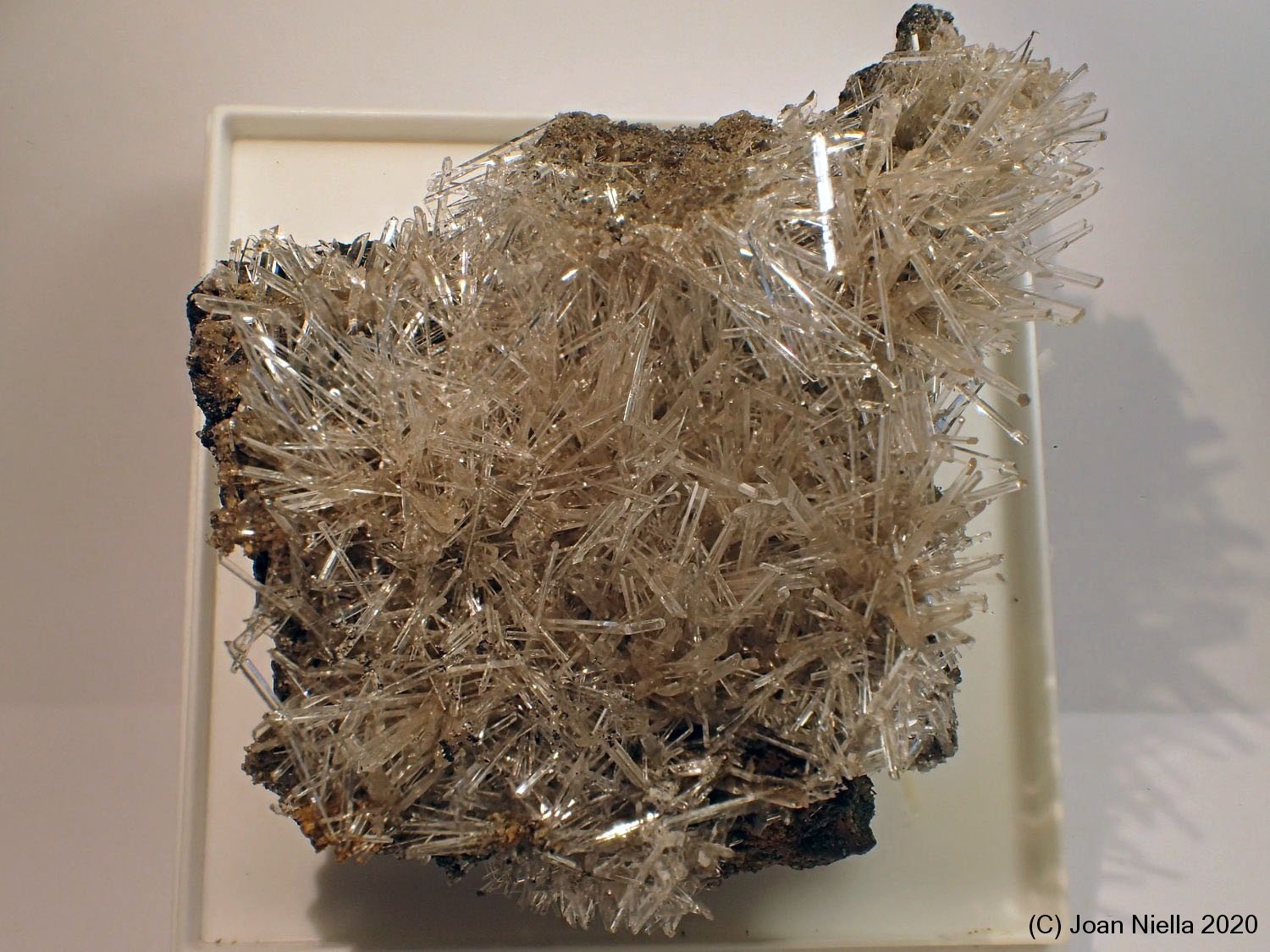 Yeso
5 x 6 cm
(Autor: Joan Niella)