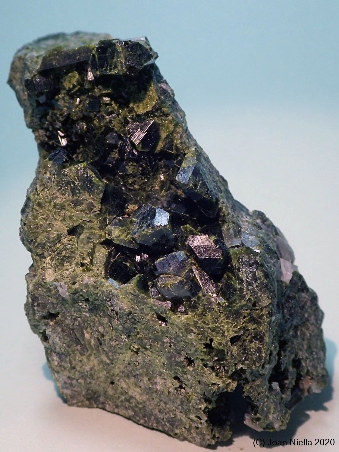 Epidota
65x55 mm
(Autor: Joan Niella)