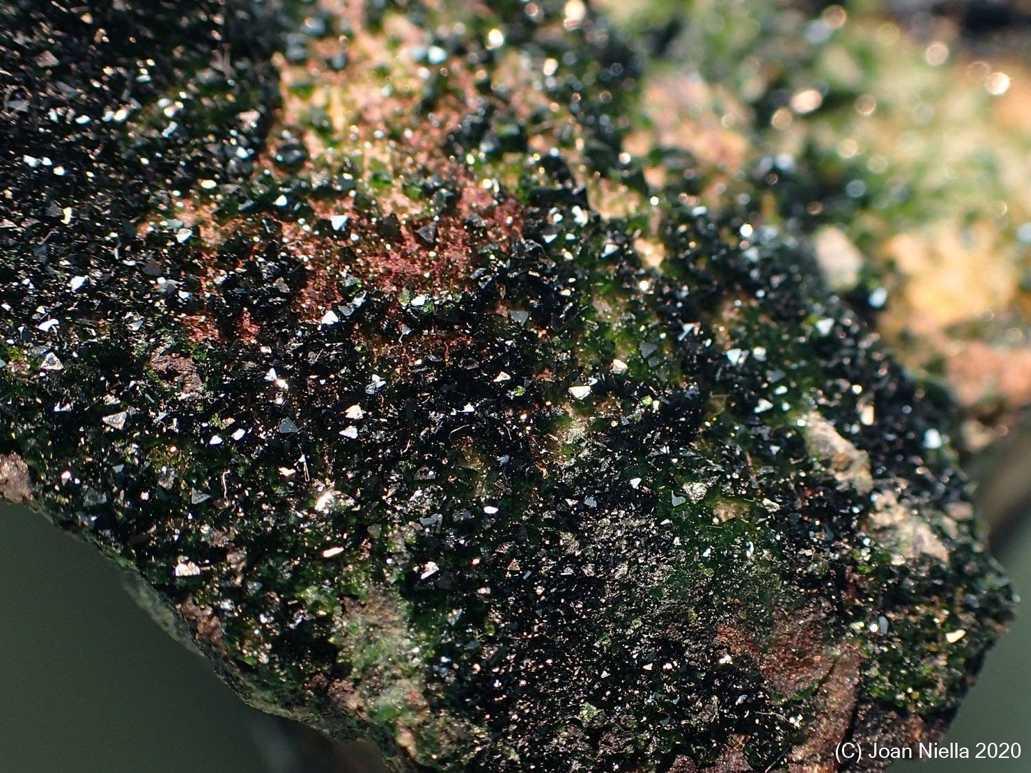 Libethenita
CV 3x2 cm
(Autor: Joan Niella)