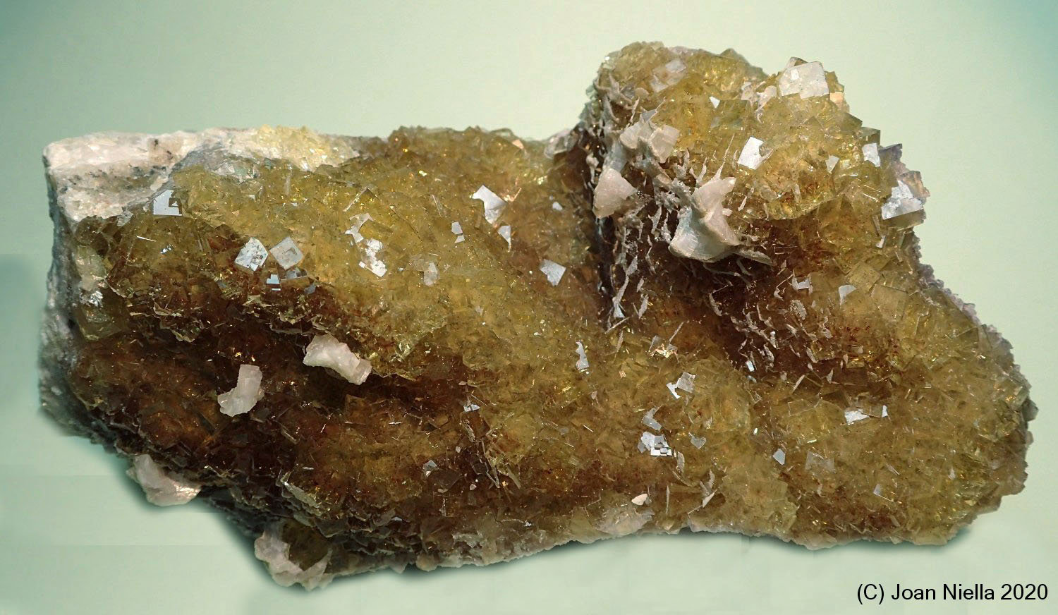 Fluorita
120x60 mm
(Autor: Joan Niella)