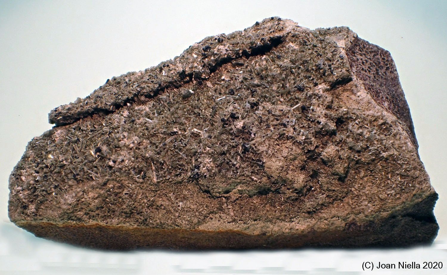 Rutilo
75x45 mm
(Autor: Joan Niella)