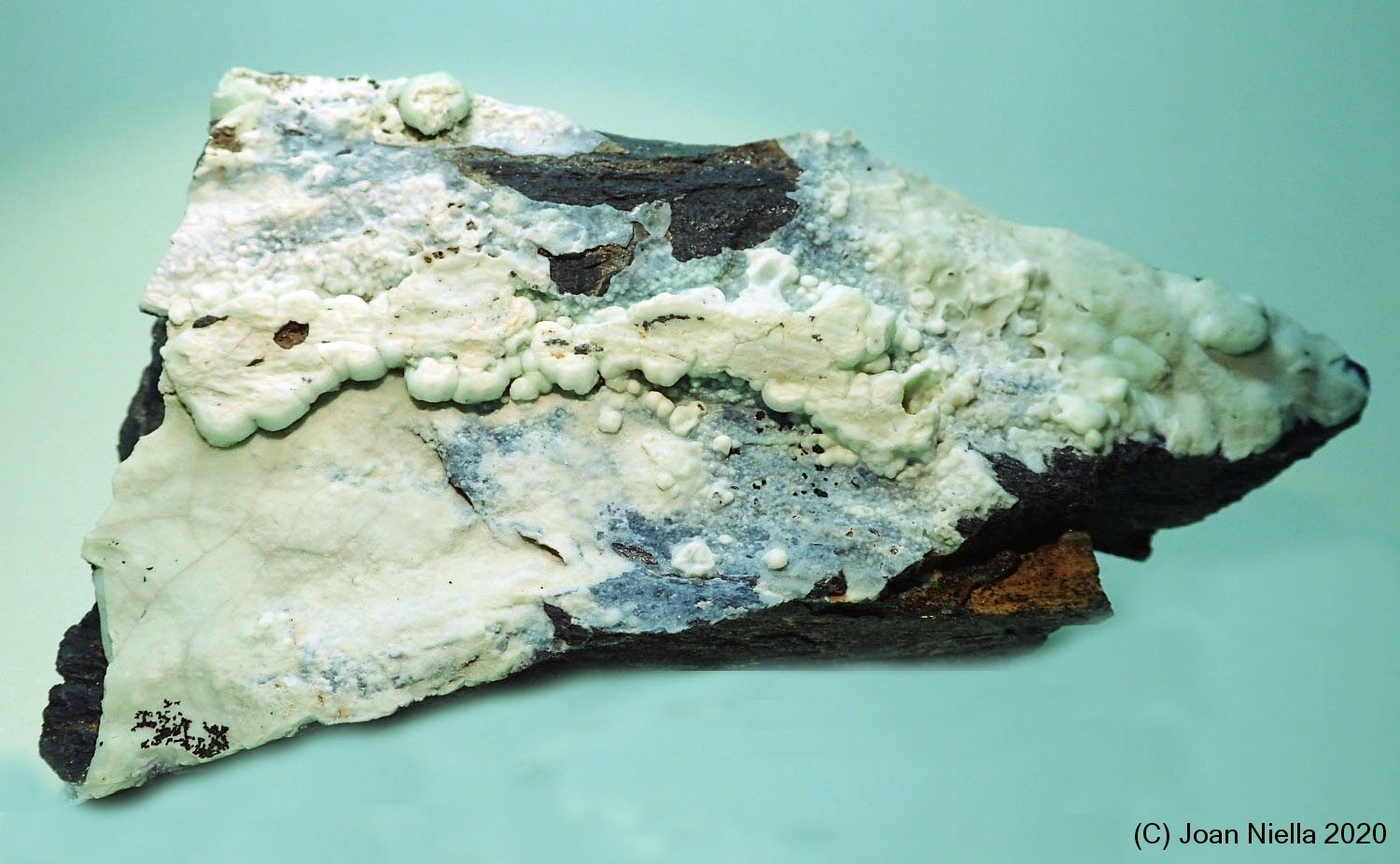 Variscita
90x50 mm
(Autor: Joan Niella)