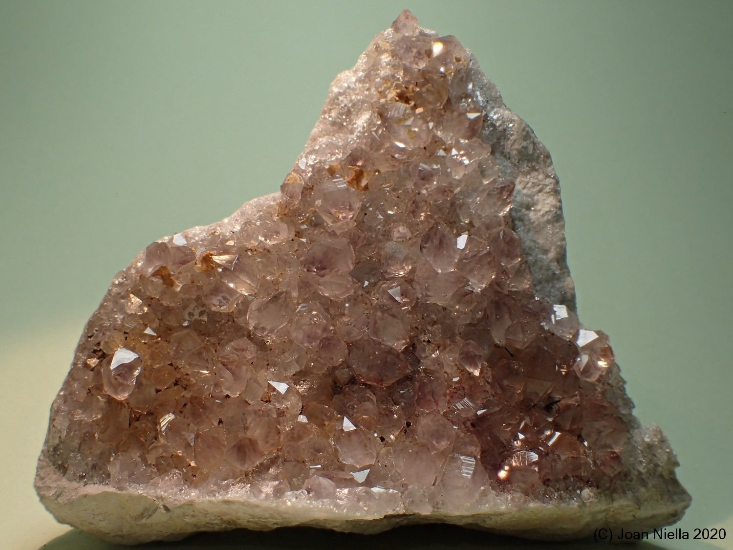 Cuarzo (variedad amatista)
9 x 7 cm
(Autor: Joan Niella)