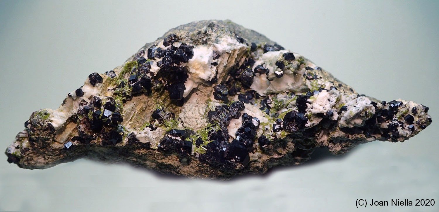 Andradita (Grupo Granate)
100x45 mm
(Autor: Joan Niella)