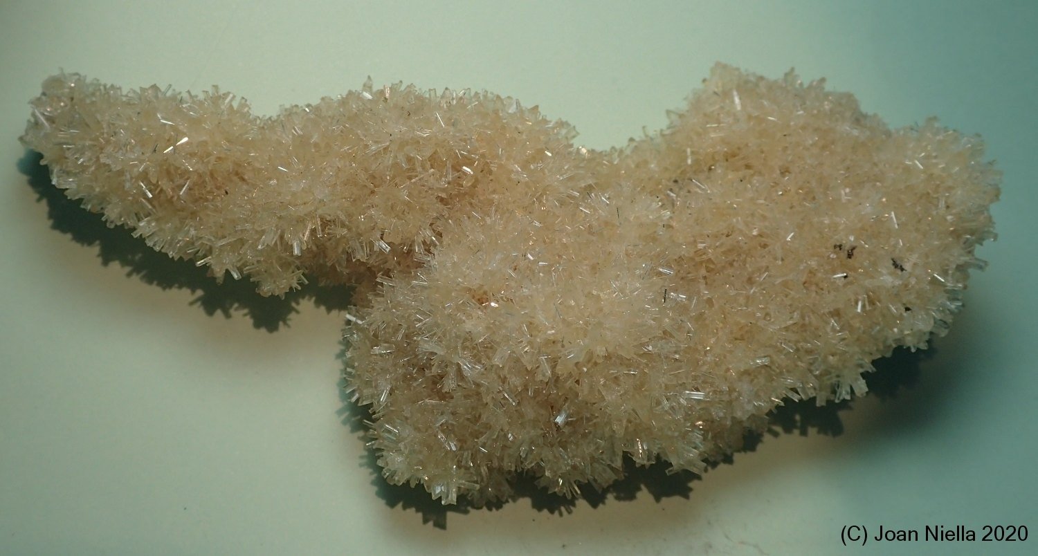 Yeso
120x45 mm
(Autor: Joan Niella)
