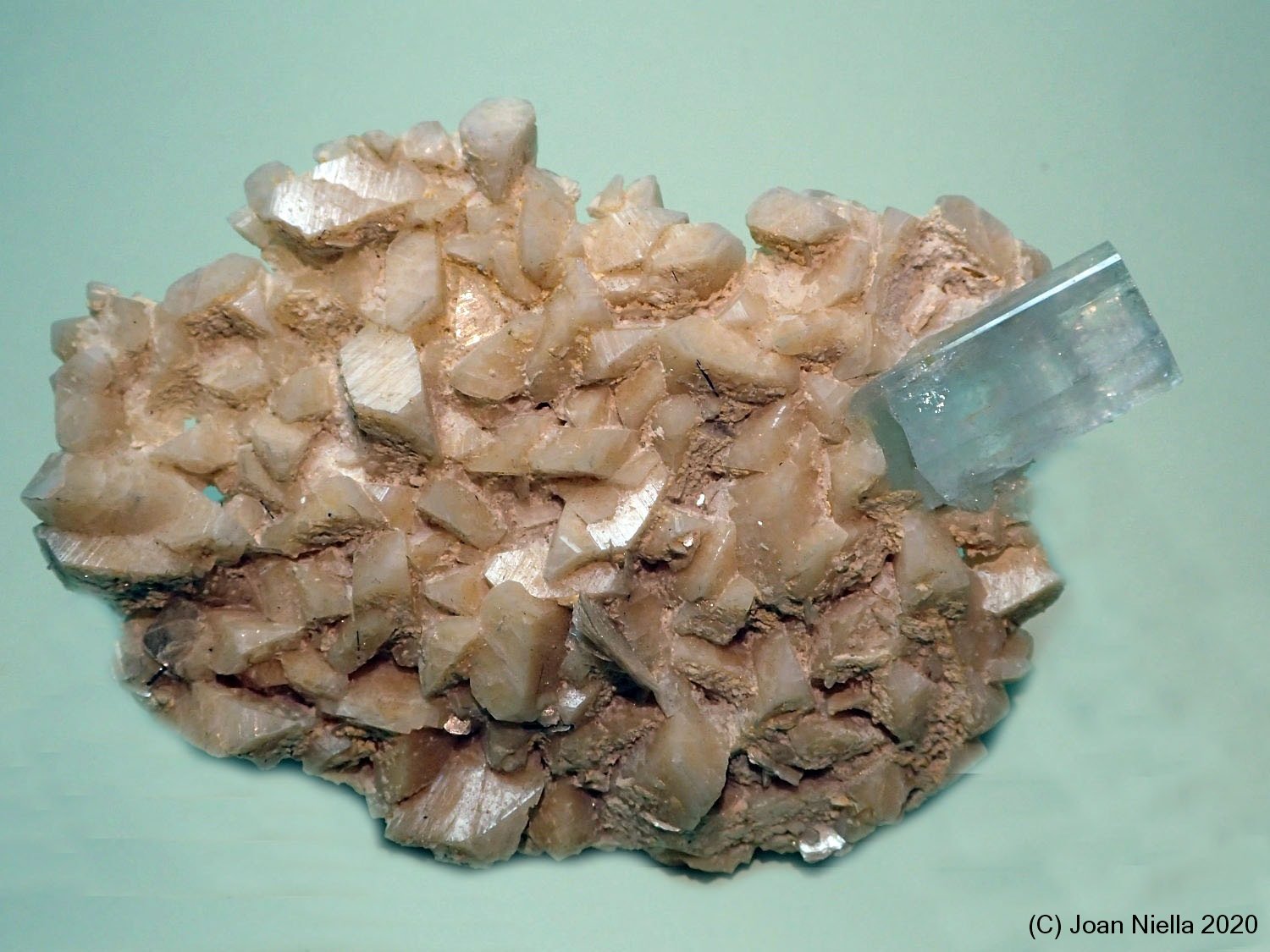 Berilo (variedad aguamarina)
80x50 mm
(Autor: Joan Niella)