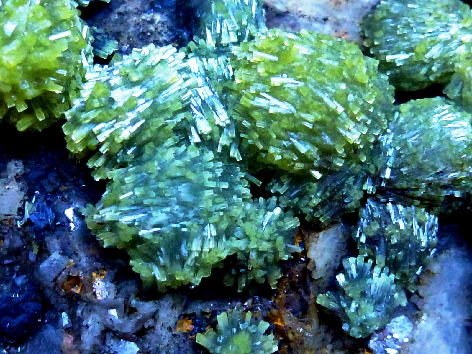 Piromorfita
8 x 6 cm.
(Autor: javier ruiz martin)