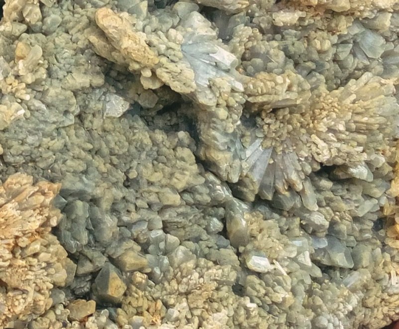Celestina
300x200x100 mm
(Autor: Luis Ramón Coves)