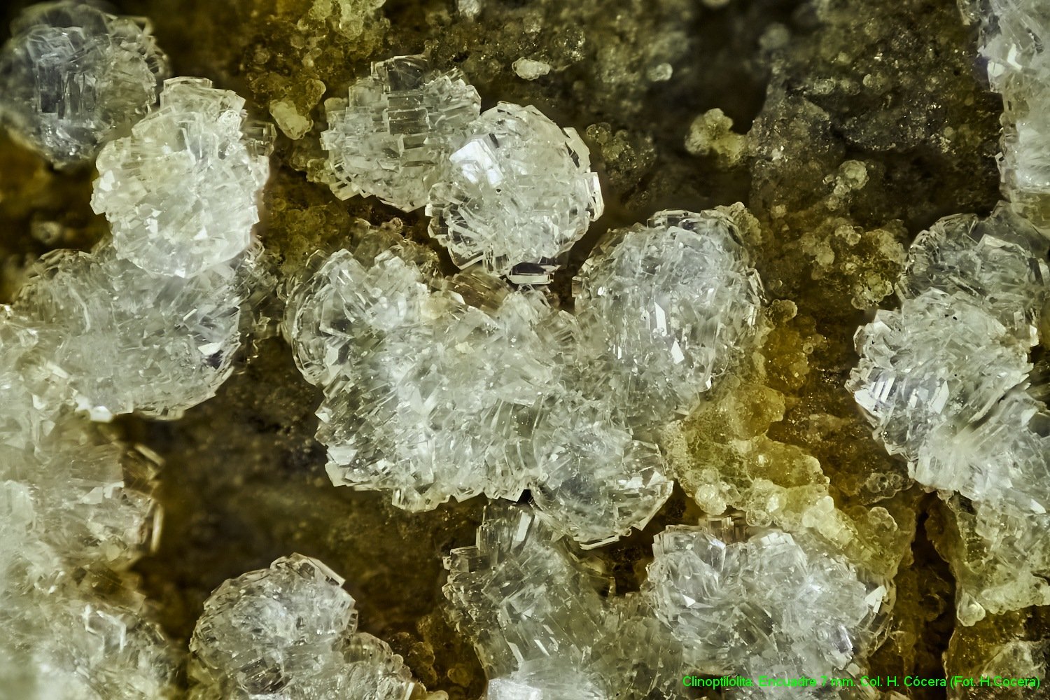 Clinoptilolita
encuadre 7mm
(Autor: Joan Niella)